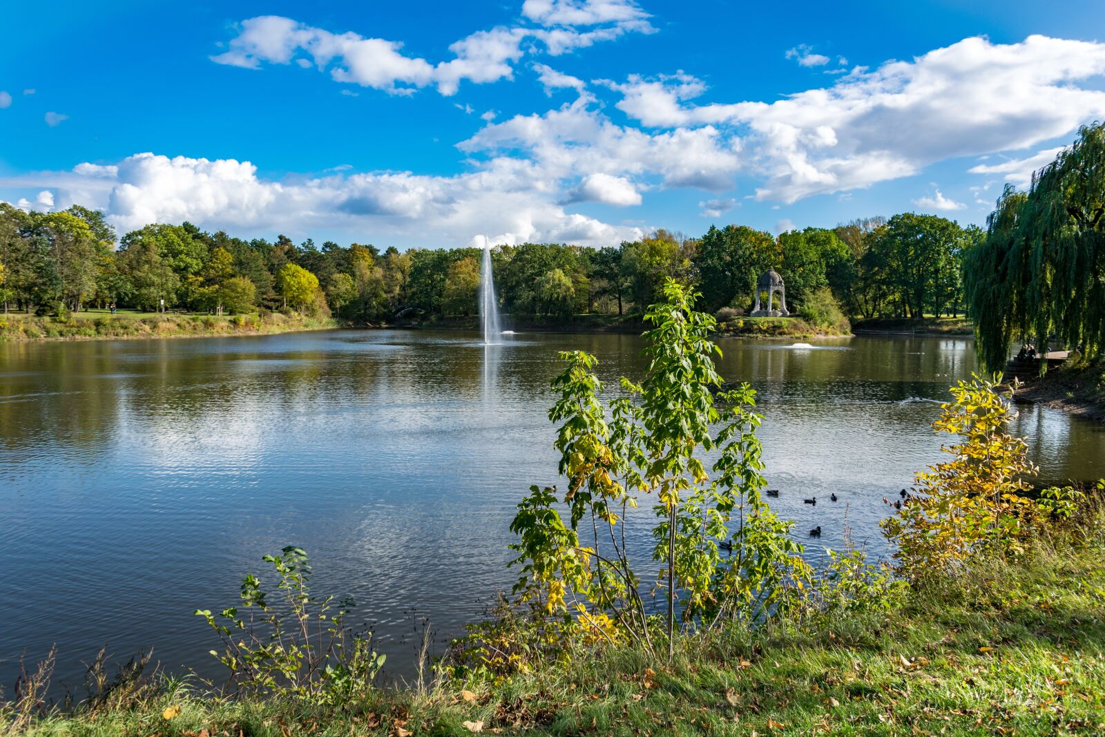 Nikon D3300 sample photo. Lake, park, magdeburg photography