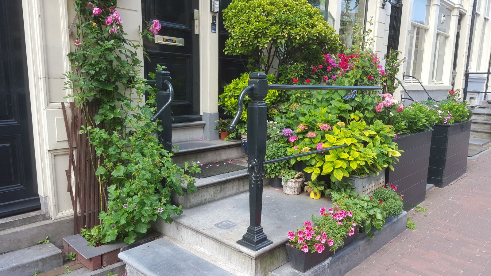 Samsung Galaxy S6 sample photo. Amsterdam, house entrance, flowers photography