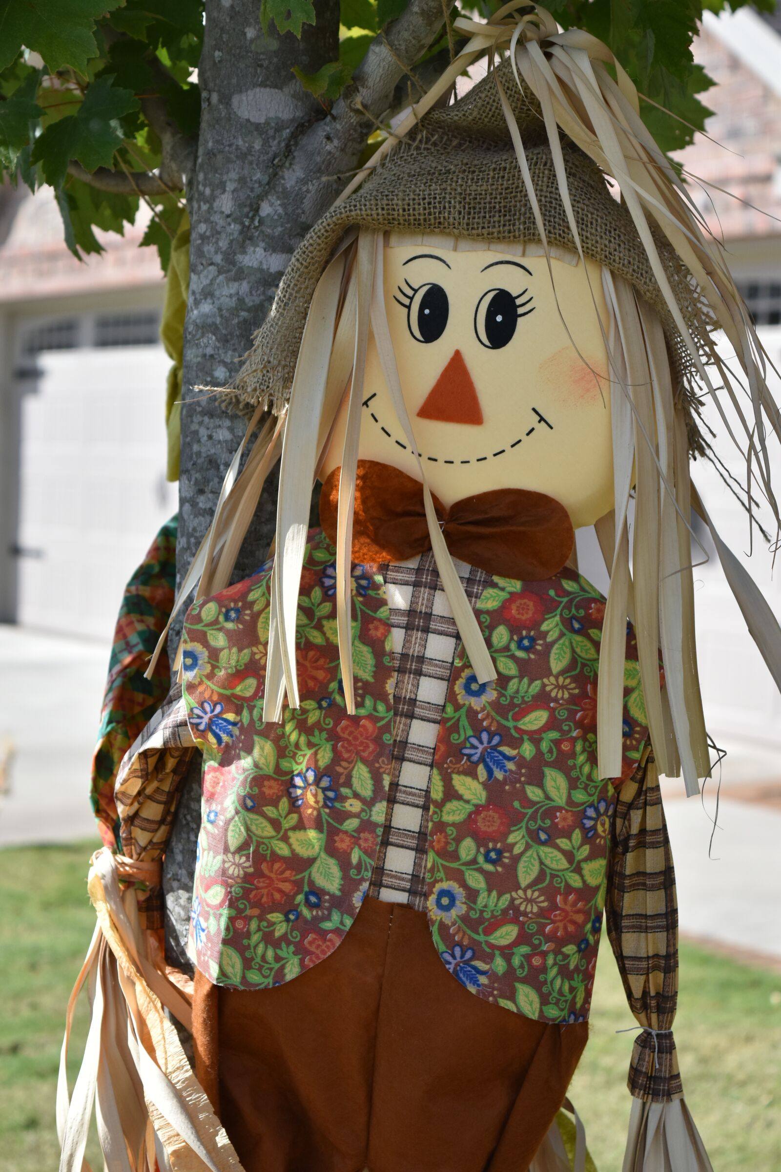 Nikon D5500 sample photo. Fall, scarecrow, decoration photography