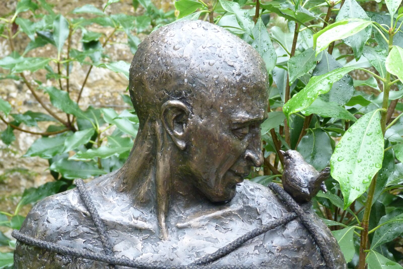 Panasonic Lumix DMC-FZ40 (Lumix DMC-FZ45) sample photo. Nature, sculpture, man photography