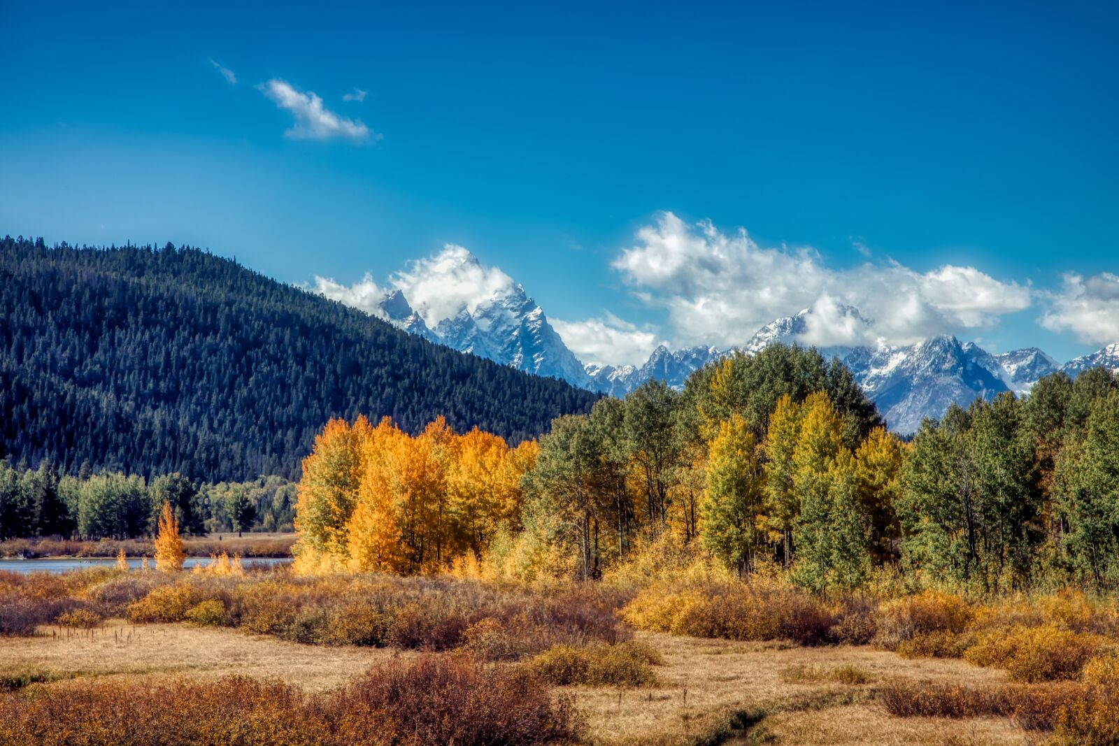 Canon EOS 5DS R + Canon EF 24-105mm F4L IS USM sample photo. Grand teton national park photography