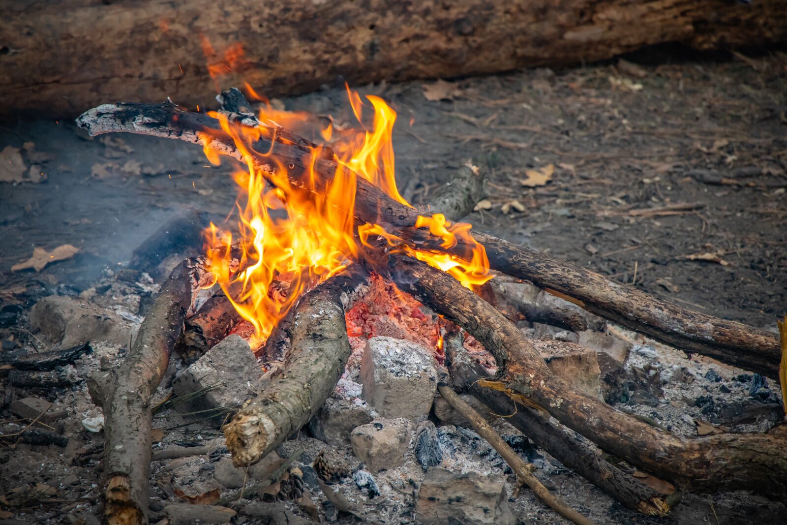 Canon EOS 7D Mark II sample photo. Bonfire, fire, firewood photography