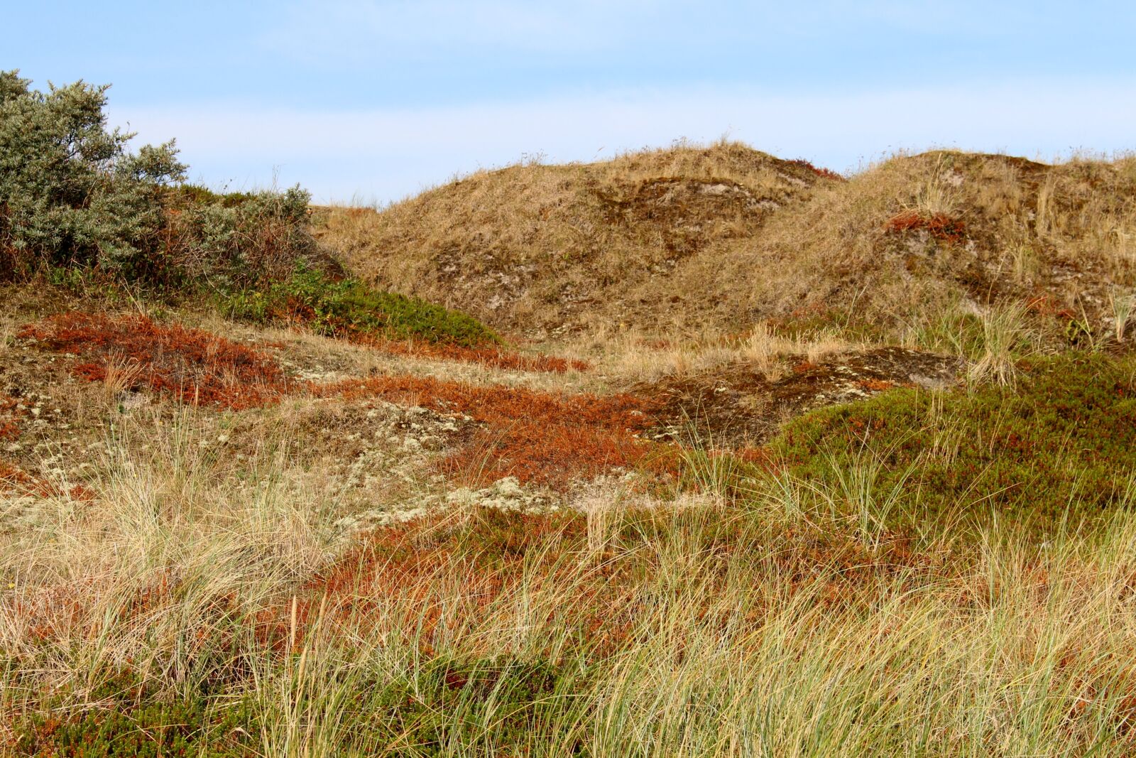 Canon EOS 700D (EOS Rebel T5i / EOS Kiss X7i) sample photo. Langeoog, dune, sky photography