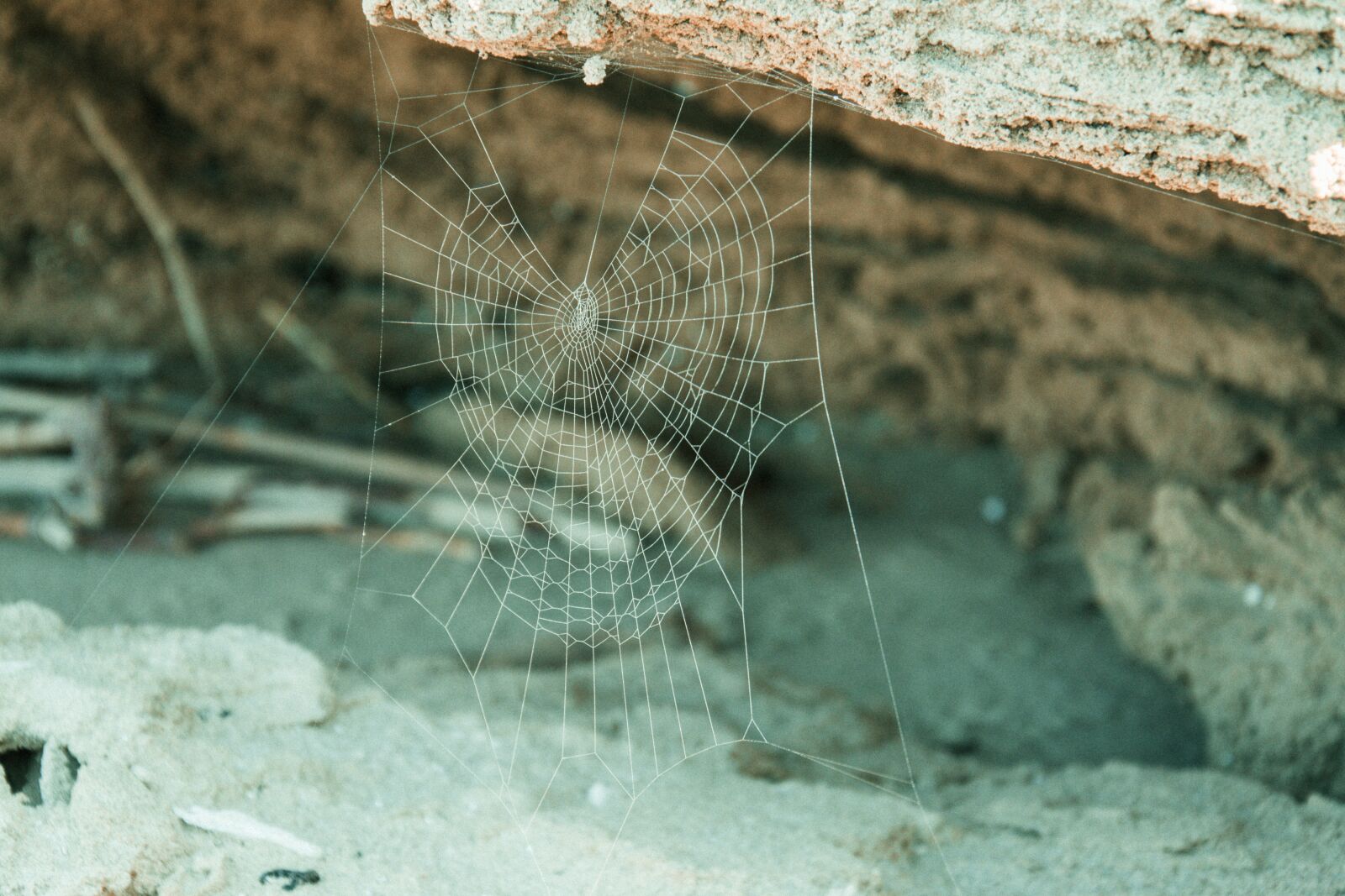 Nikon D5200 sample photo. Web, beach, sea photography