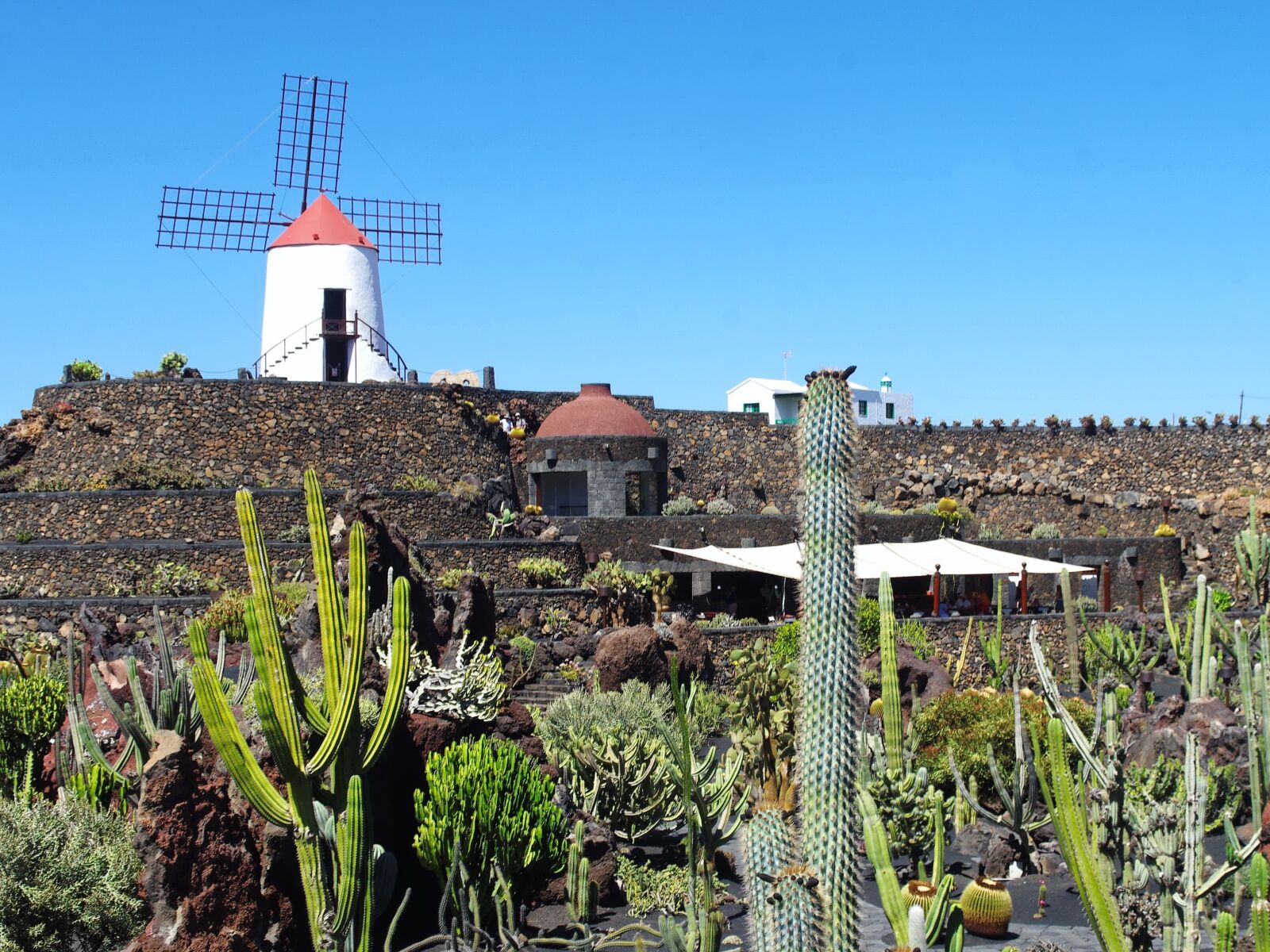 Pentax K-5 sample photo. Lanzarote, cactus garden, mill photography