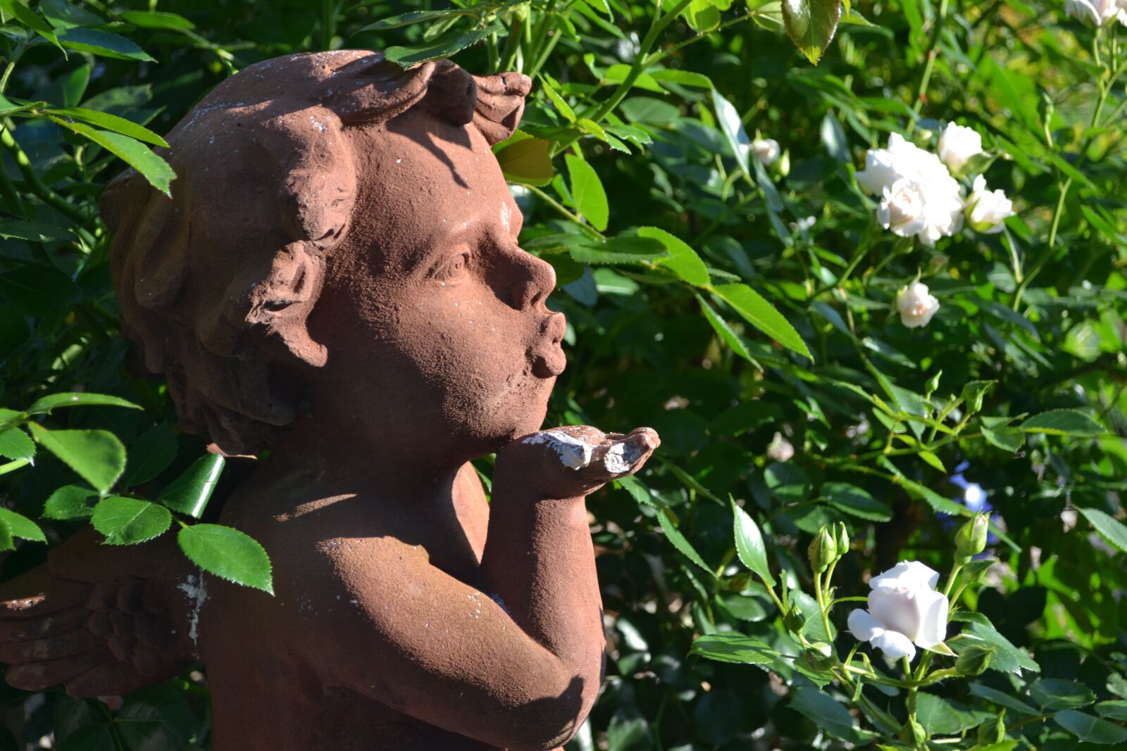Nikon D3100 sample photo. Angel, garden, wing photography