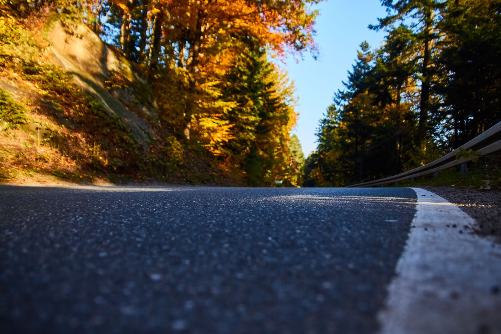 Canon EOS 60D sample photo. Way, autumn, forest photography
