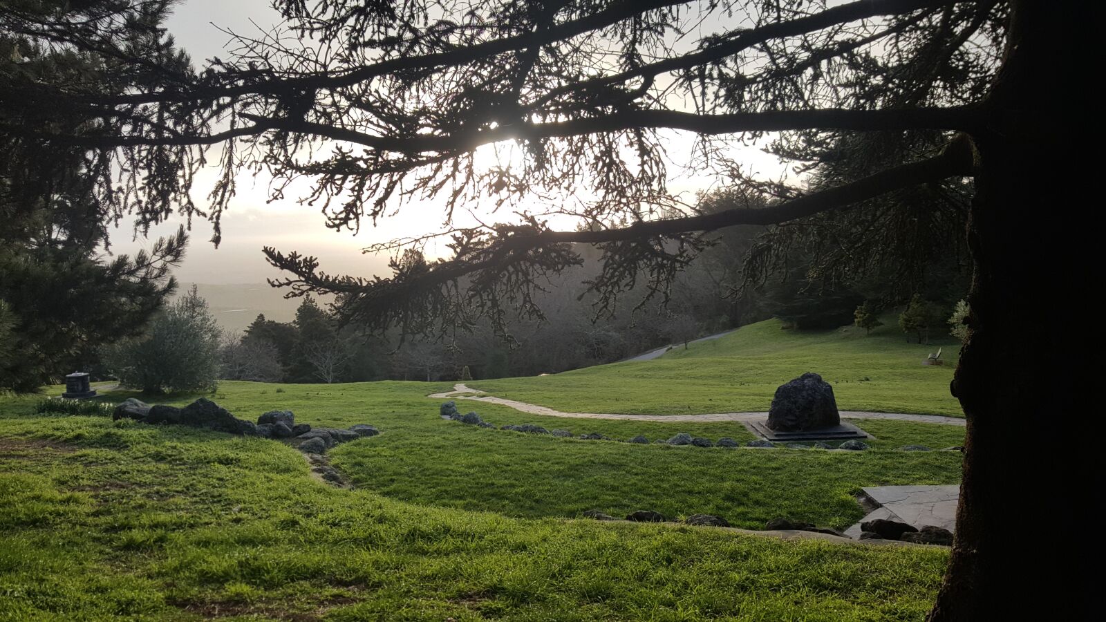 Samsung Galaxy Note5 sample photo. New zealand, tree, landscape photography