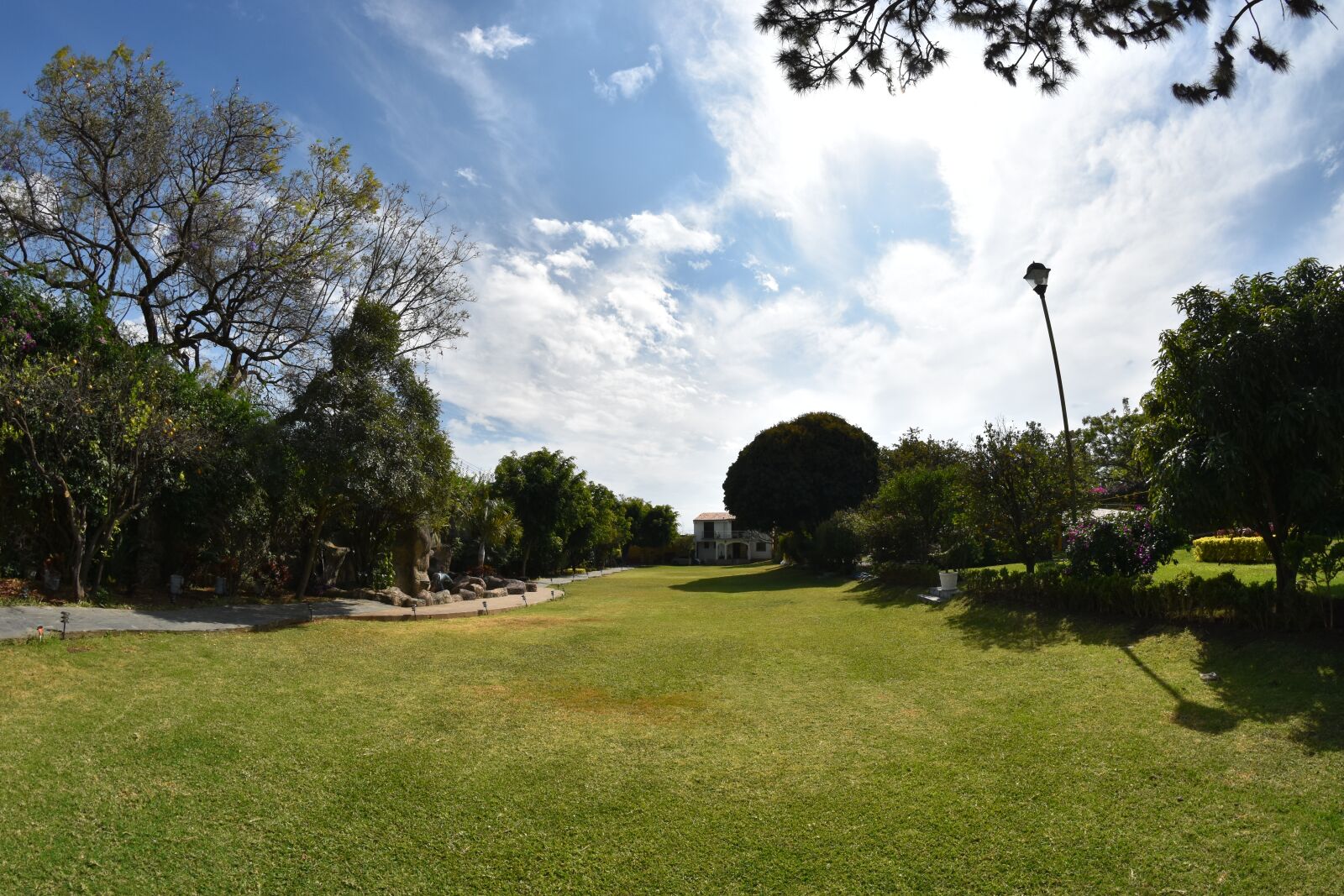 Nikon D5600 sample photo. Sky, tree, summer photography
