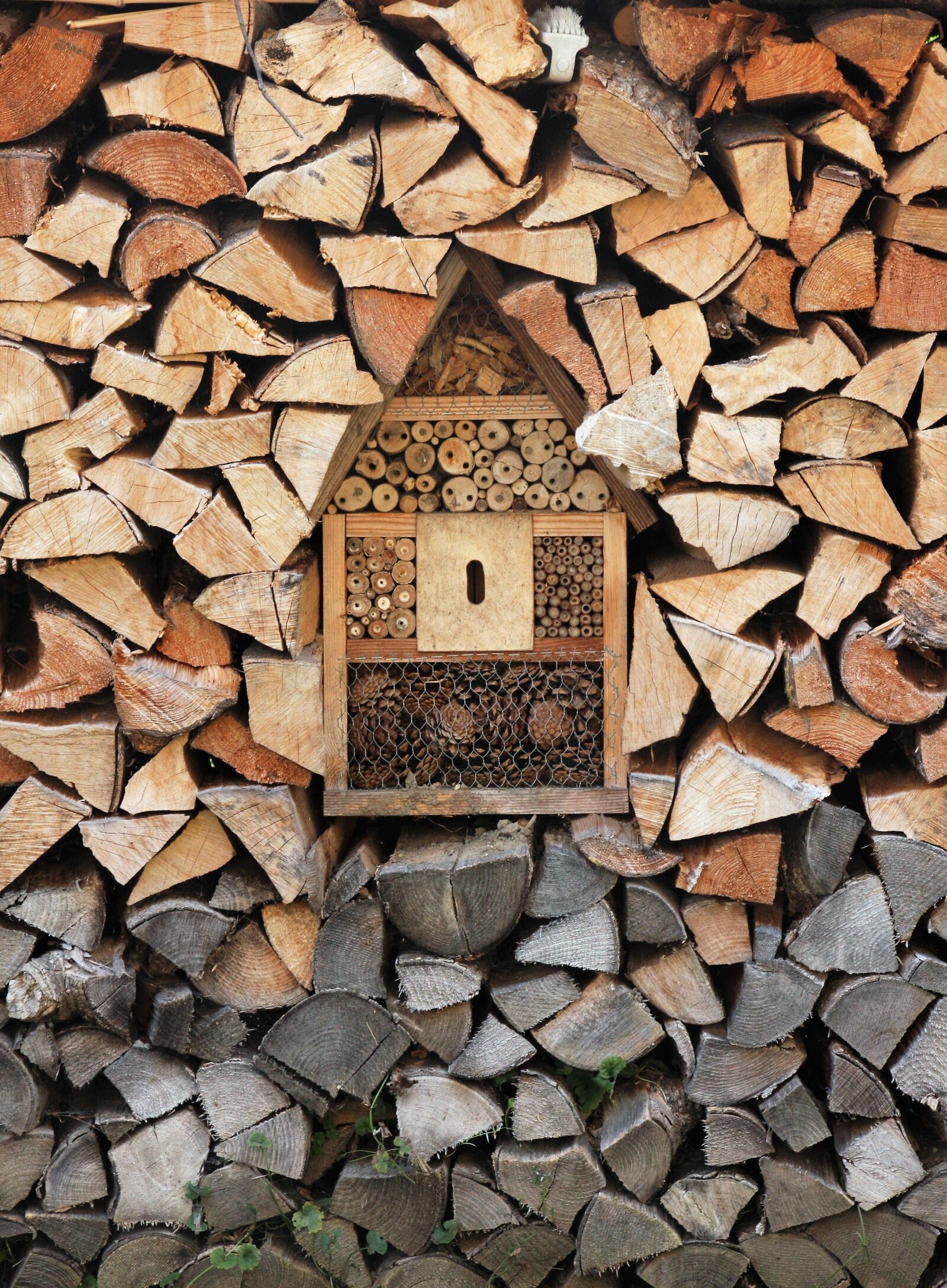 Canon EOS 40D sample photo. Insect, insect hotel, wood photography