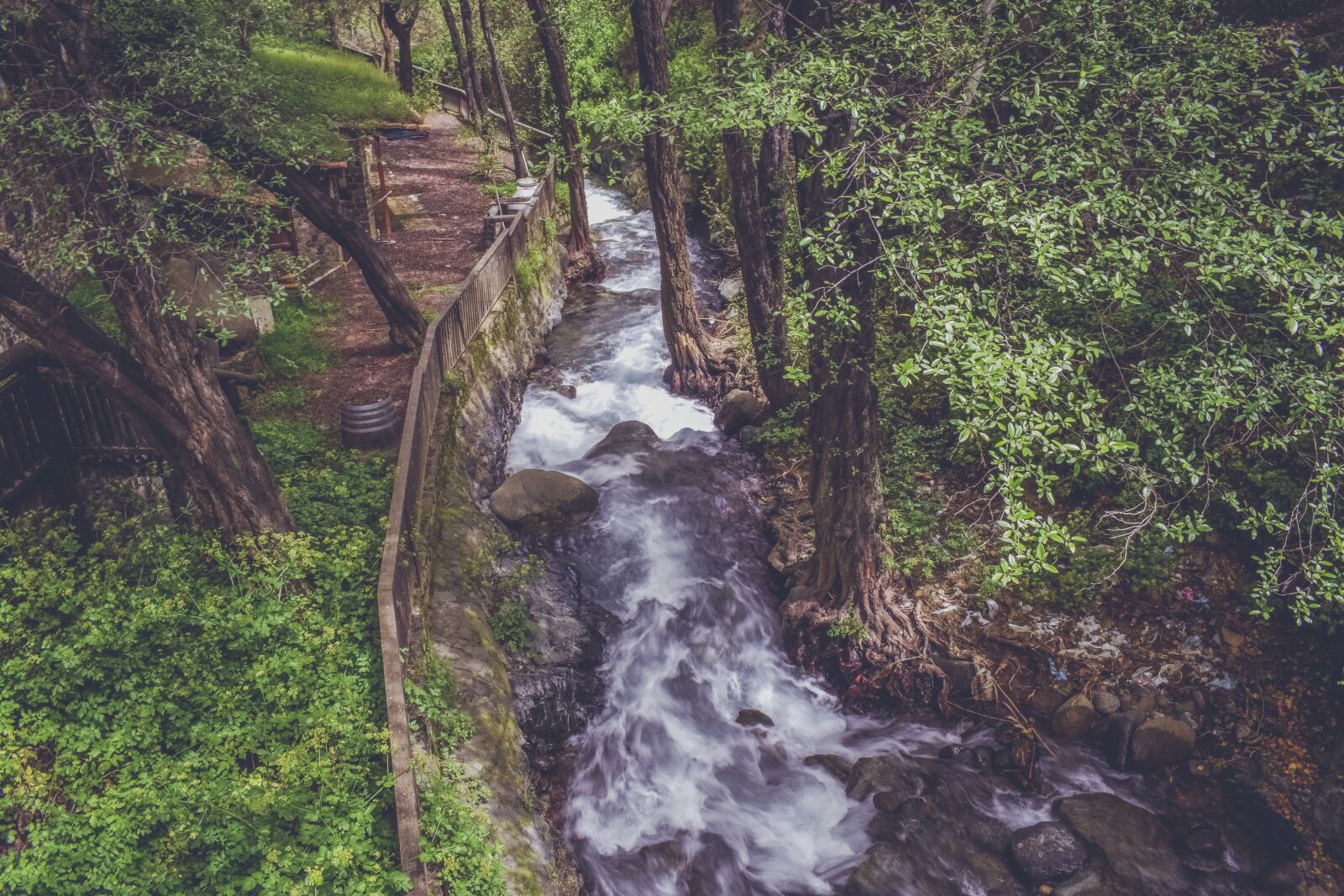 Nikon D3300 sample photo. Stream, creek, scenic photography