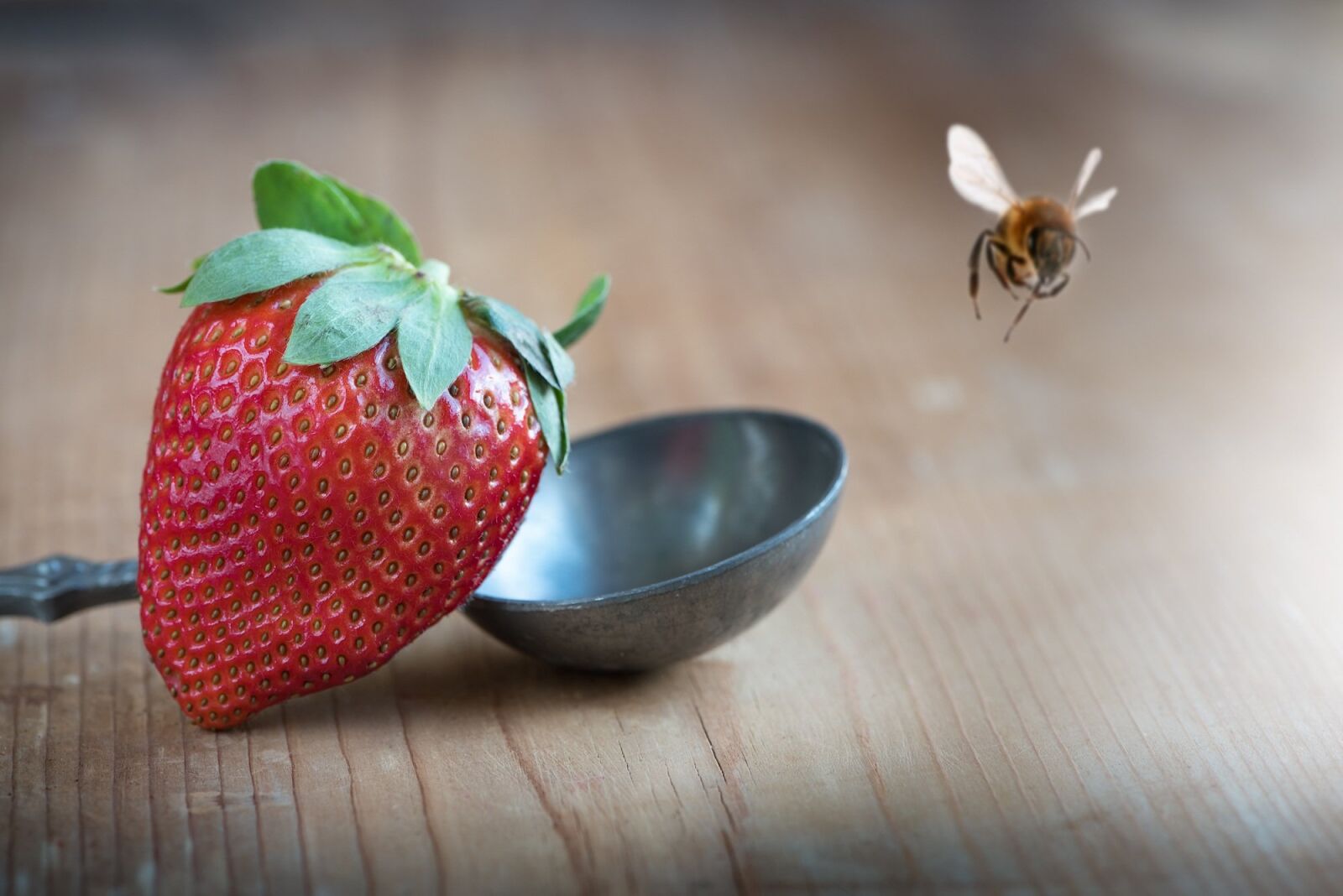 Nikon D750 sample photo. Strawberry, red, ripe photography