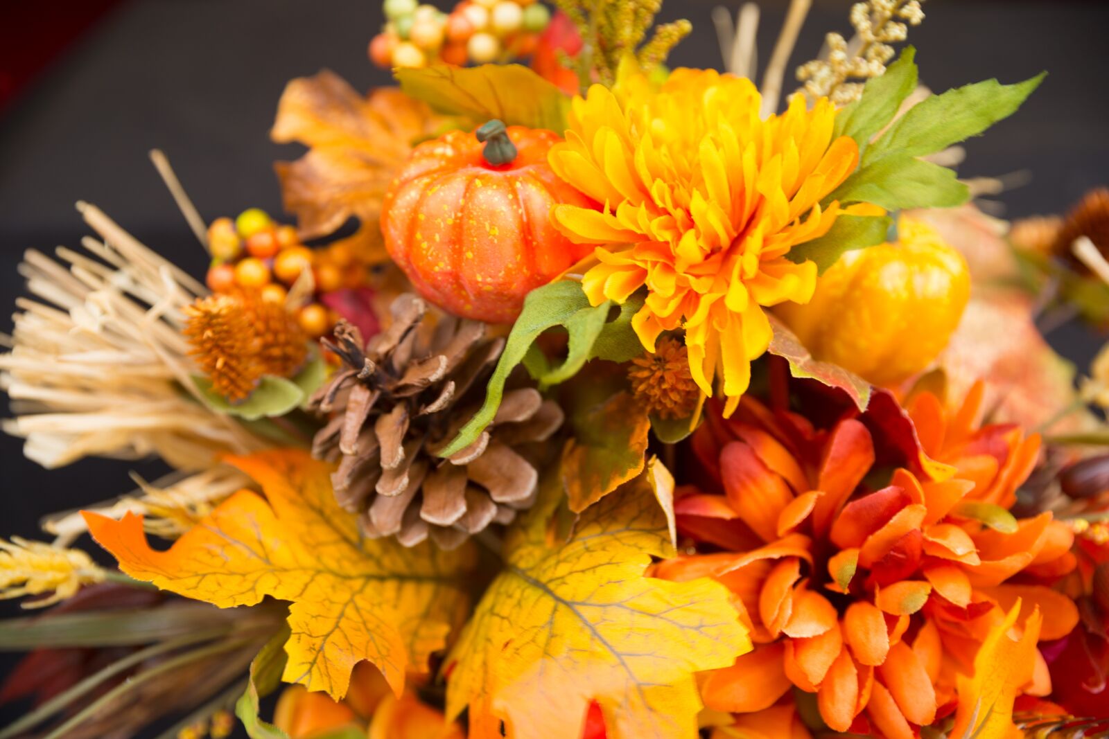 Canon EOS-1D X sample photo. Fall flowers, thanksgiving flowers photography