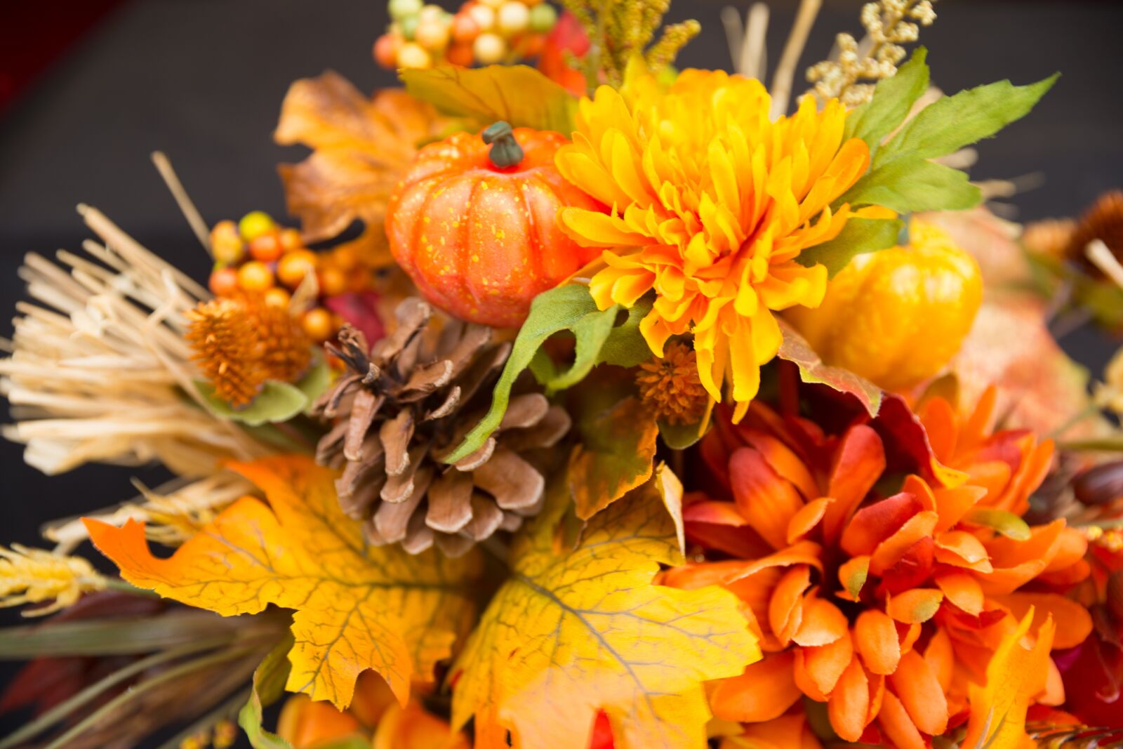 Canon EOS-1D X + Canon EF 24-70mm F2.8L II USM sample photo. Fall flowers, thanksgiving flowers photography