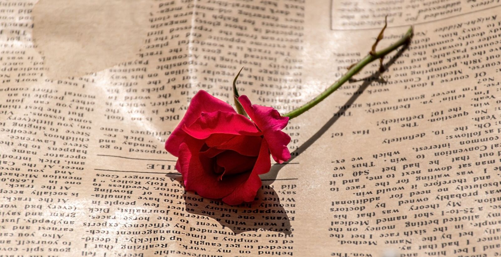 Nikon D5600 sample photo. Newspaper, letters, press photography