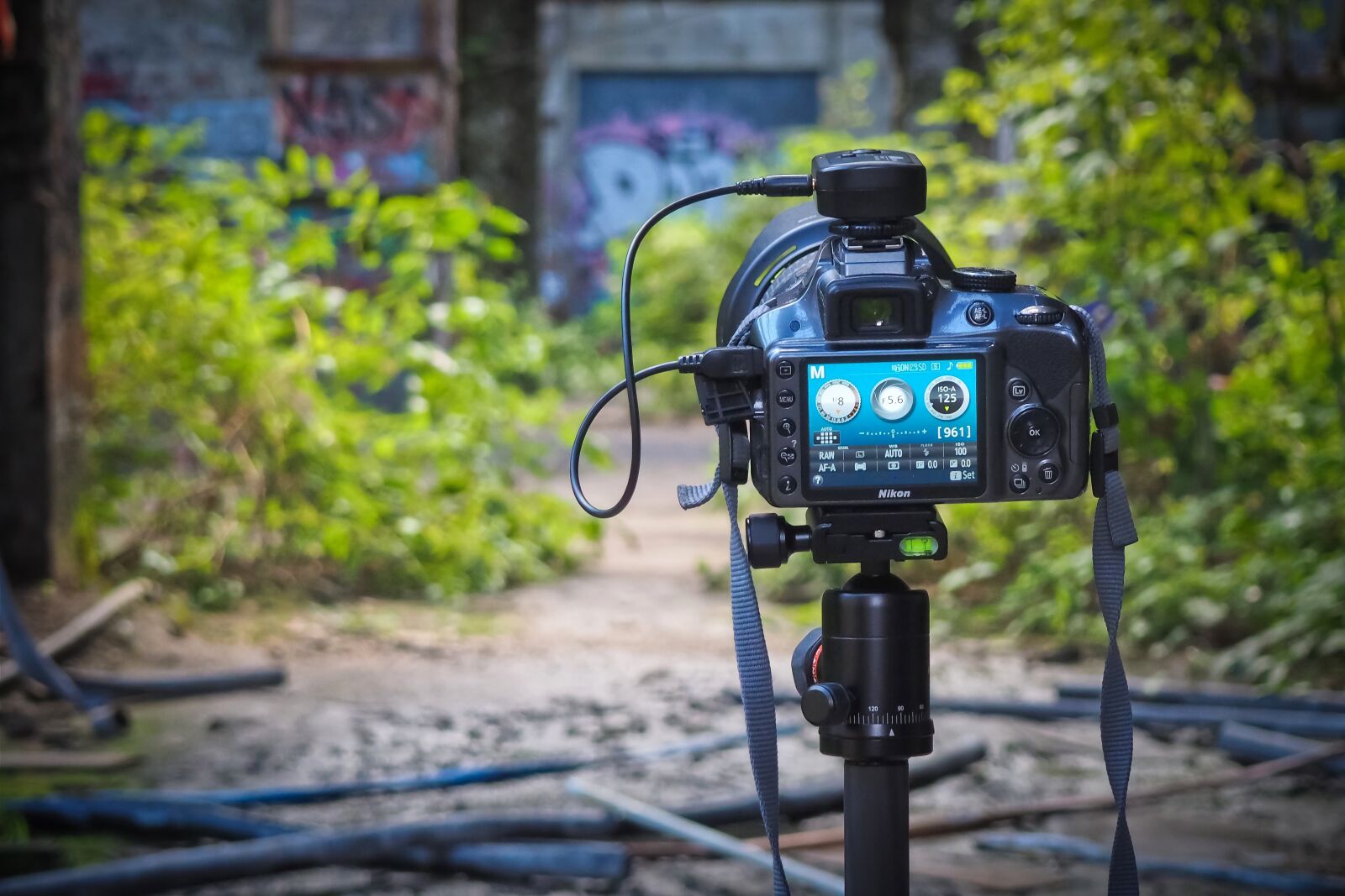 Olympus OM-D E-M10 sample photo. Lost places, rooms, abandoned photography