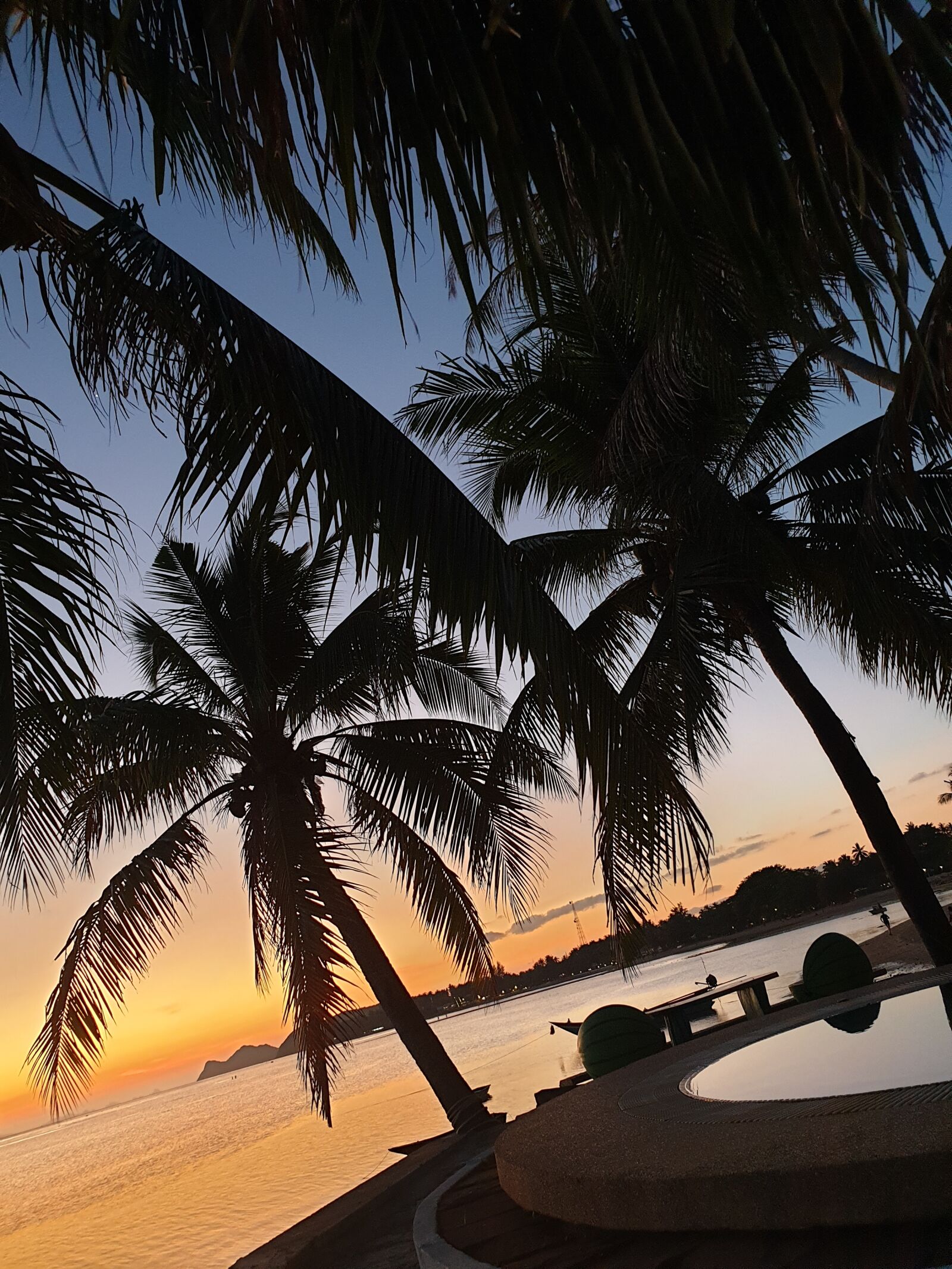 Samsung Galaxy Note9 sample photo. Sunset, palms, nature photography