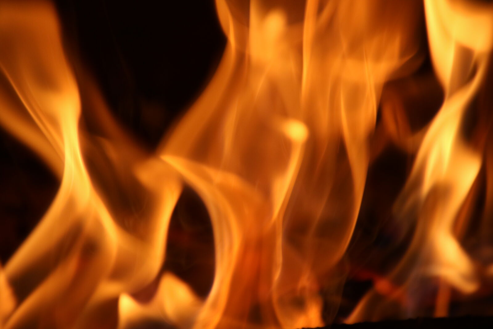 Canon EOS 7D Mark II sample photo. Bonfire, braai, burn, fire photography