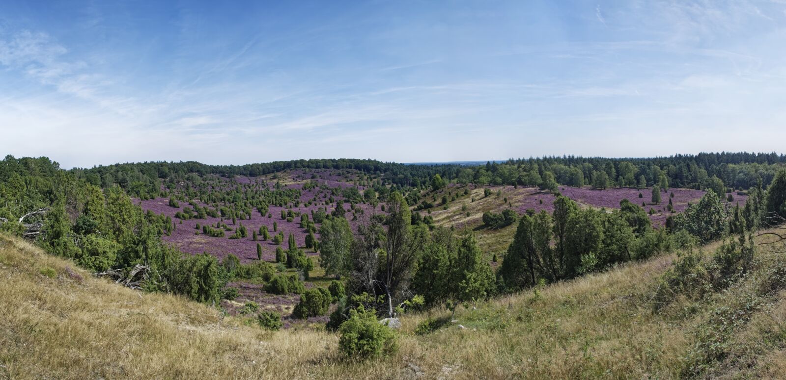 Nikon D500 sample photo. Germany, l neburg heath photography
