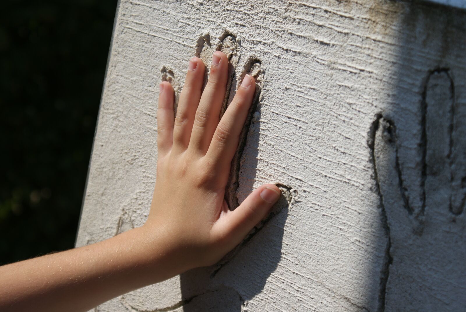 Sony Alpha DSLR-A200 sample photo. Hand, child, sculpture photography