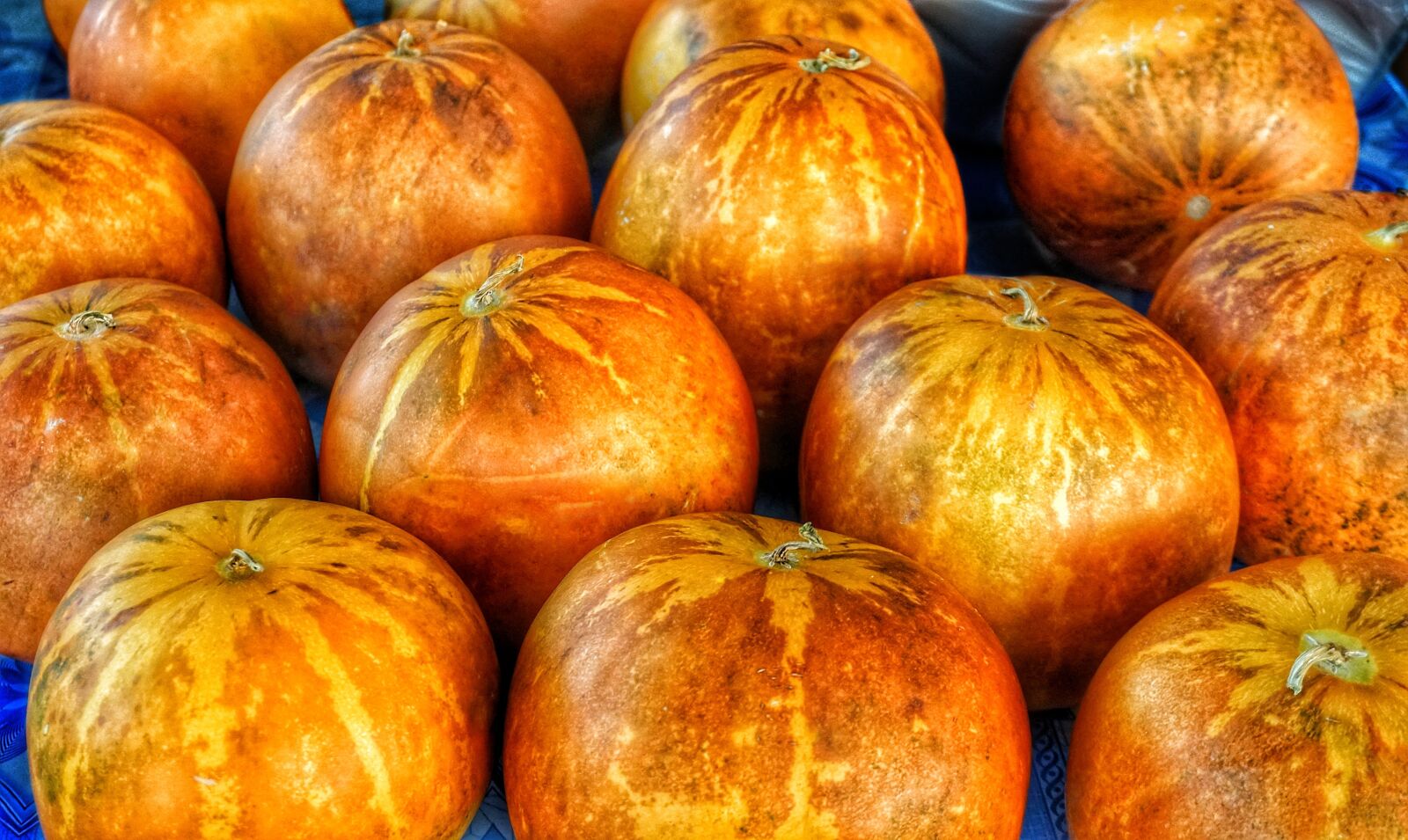Sony a6300 sample photo. Kakai, pumpkin, food photography