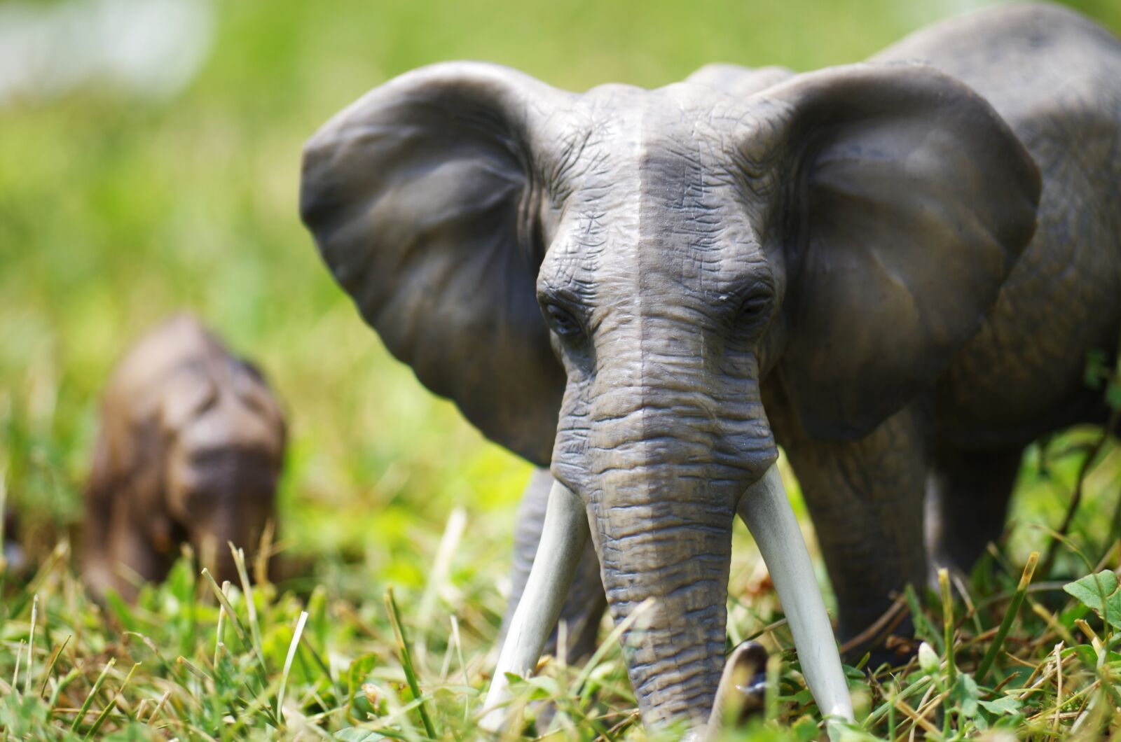 Pentax K-500 sample photo. Elephants, toys, grass photography