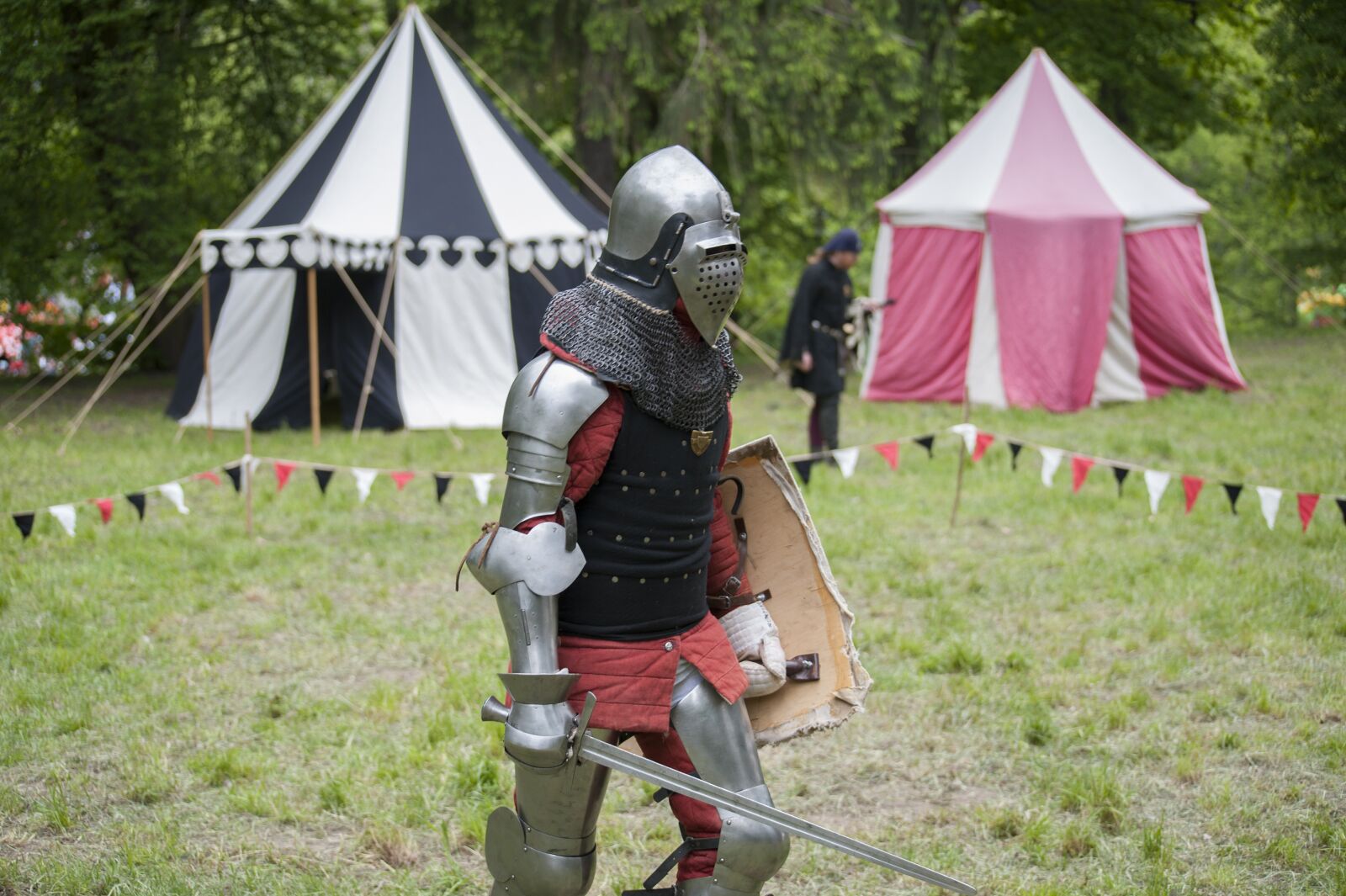 Nikon D700 sample photo. Knight, helmet, sword photography