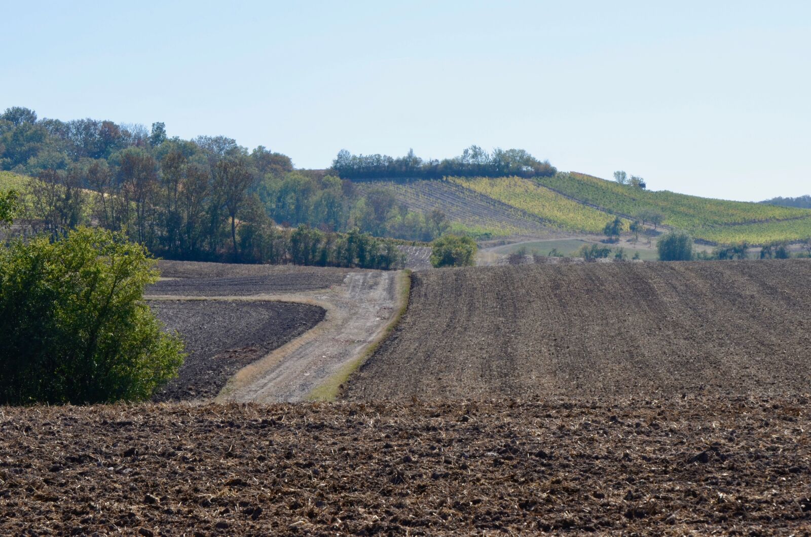 Nikon D5100 sample photo. Arable, autumn, agriculture photography