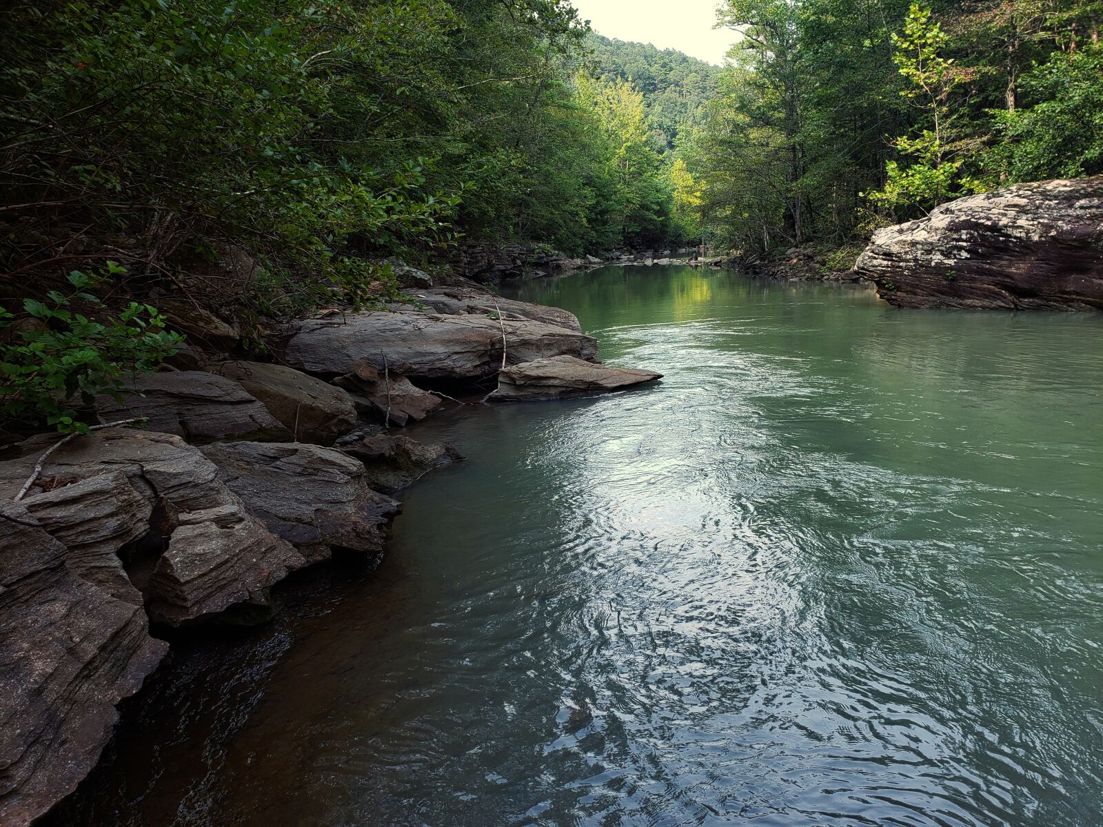 Samsung Galaxy Note9 sample photo. Stream, river, forest photography