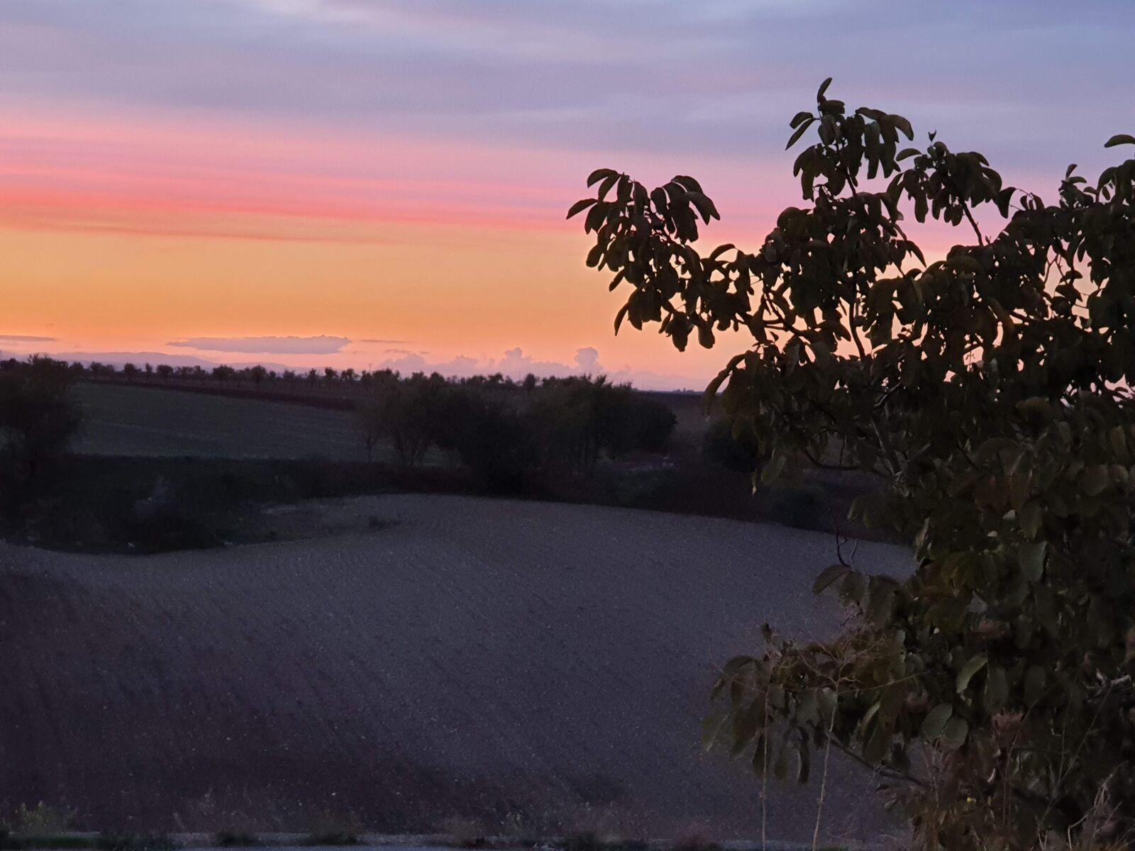 Samsung Galaxy Note9 sample photo. Sunset, montemilone, evening photography