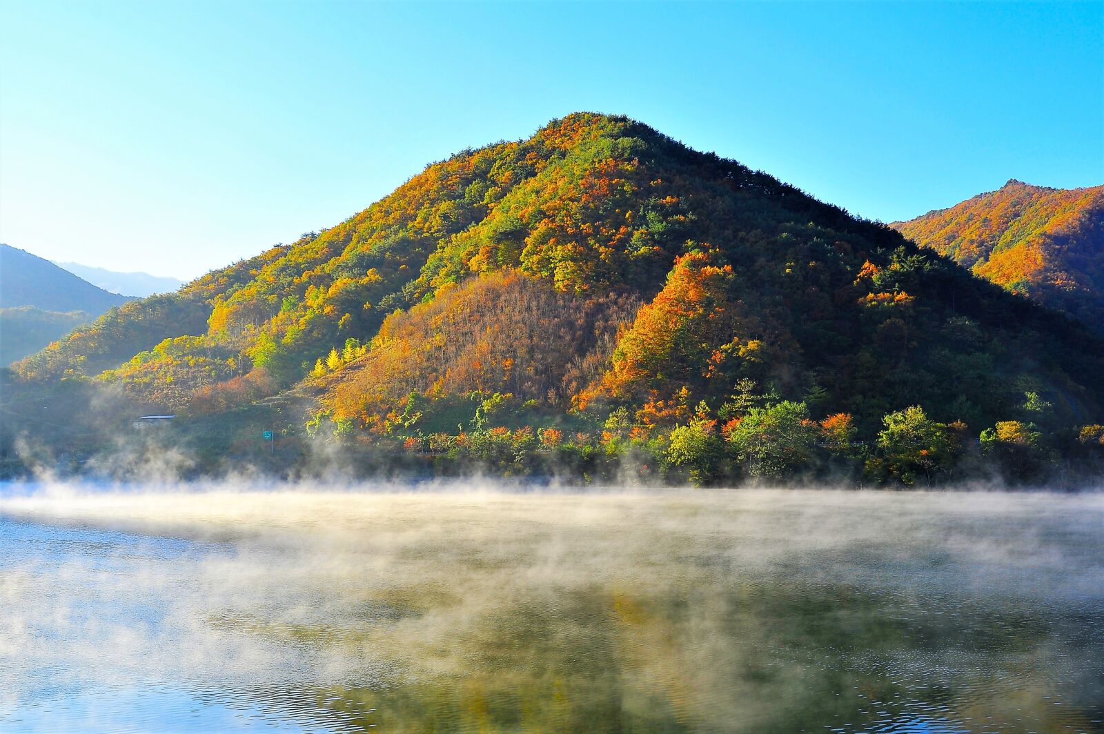 Nikon D3S sample photo. Autumn leaves, lake, water photography