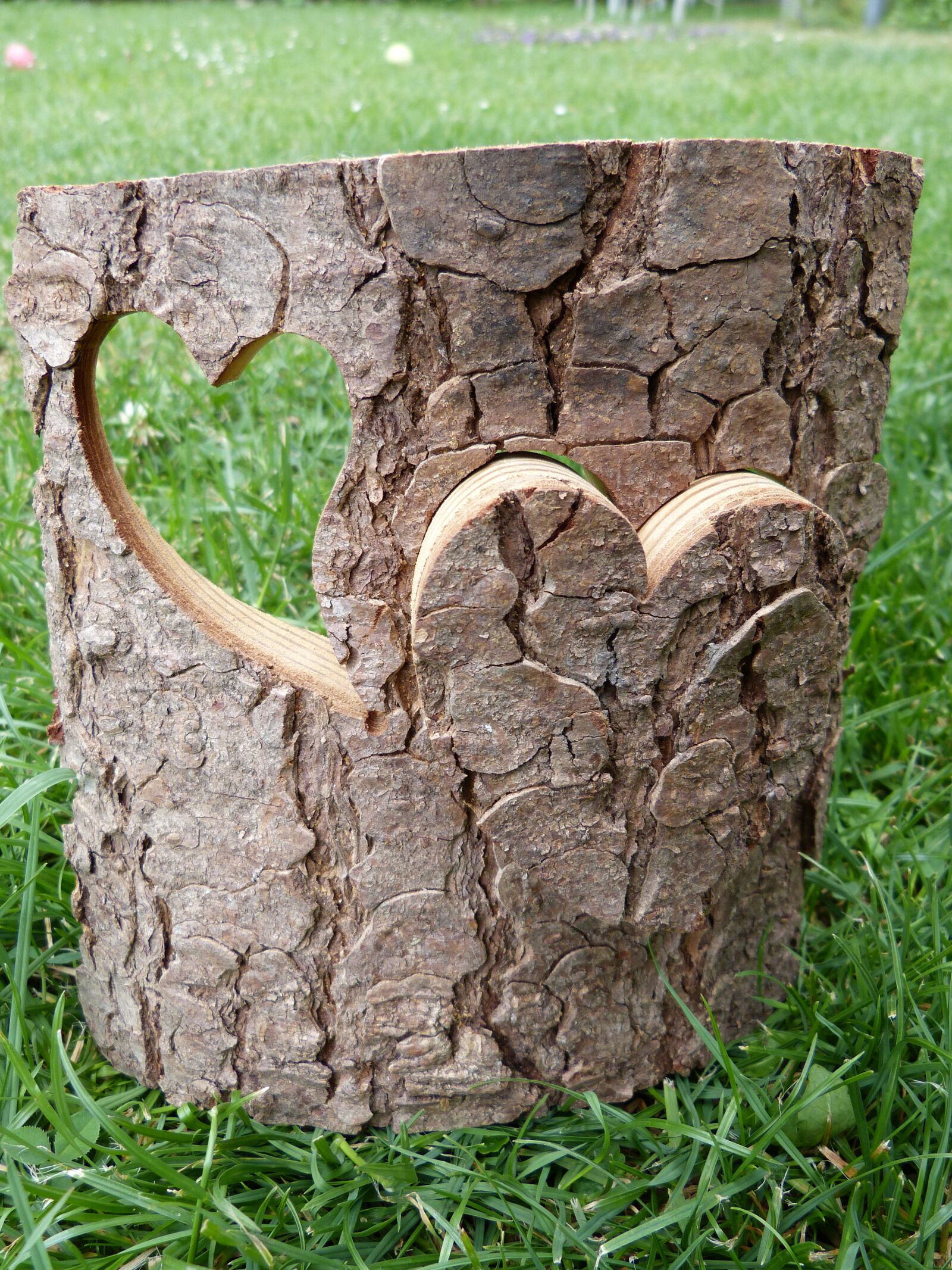 Panasonic Lumix DMC-FZ150 sample photo. Wooden heart, bark, heart photography