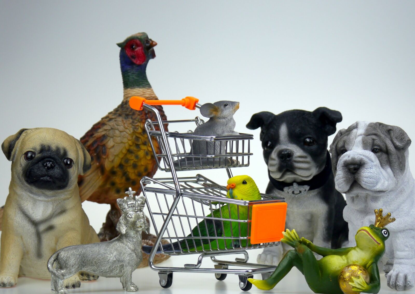 Panasonic Lumix DMC-G5 sample photo. Shopping, shop, pet food photography