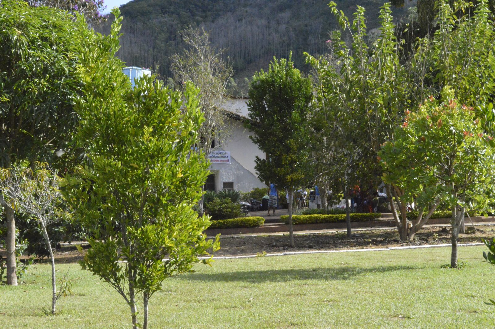 Nikon D3200 sample photo. Site, trees, tree photography