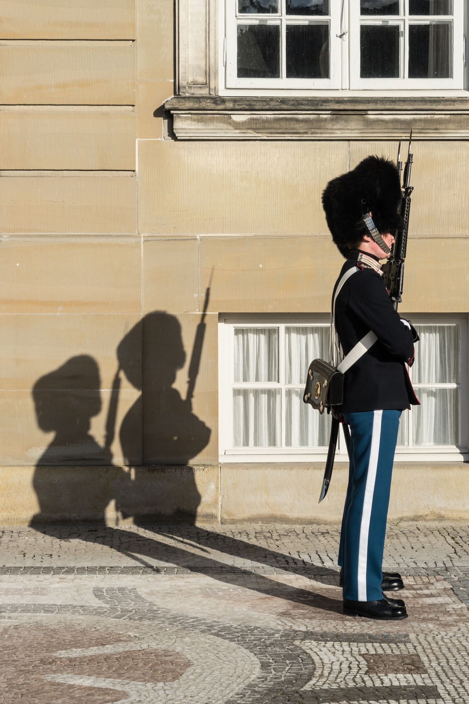Sony a7 sample photo. Sentry, royal life guards photography