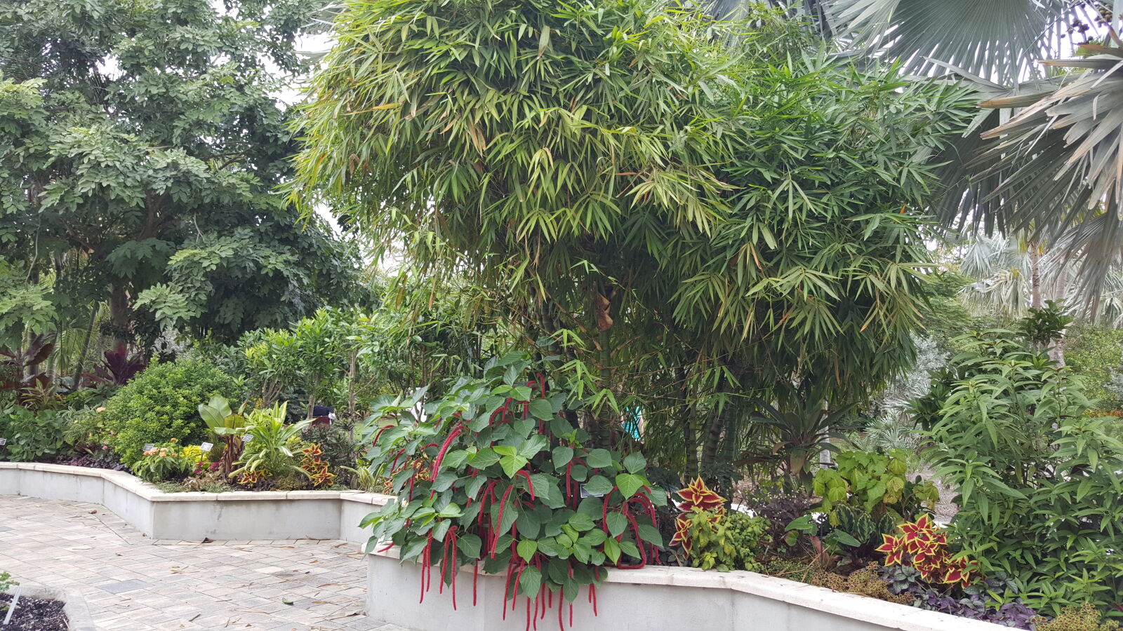Samsung GALAXY S6 edge sample photo. Botanical, gardens photography
