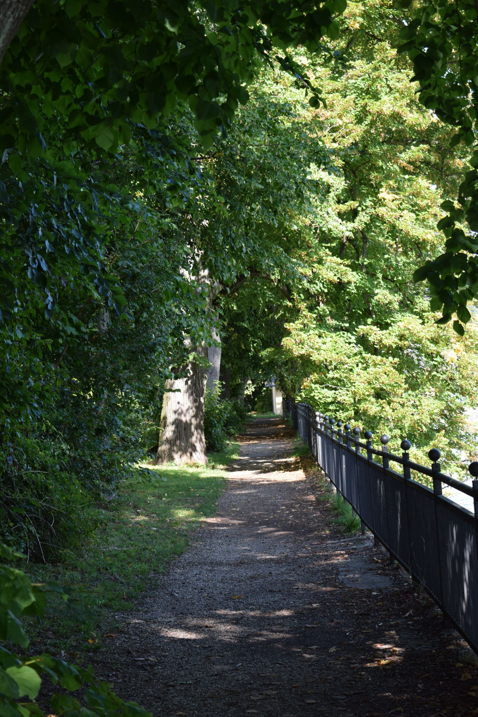 Nikon D3300 sample photo. Mysterious, traunsee, nature photography