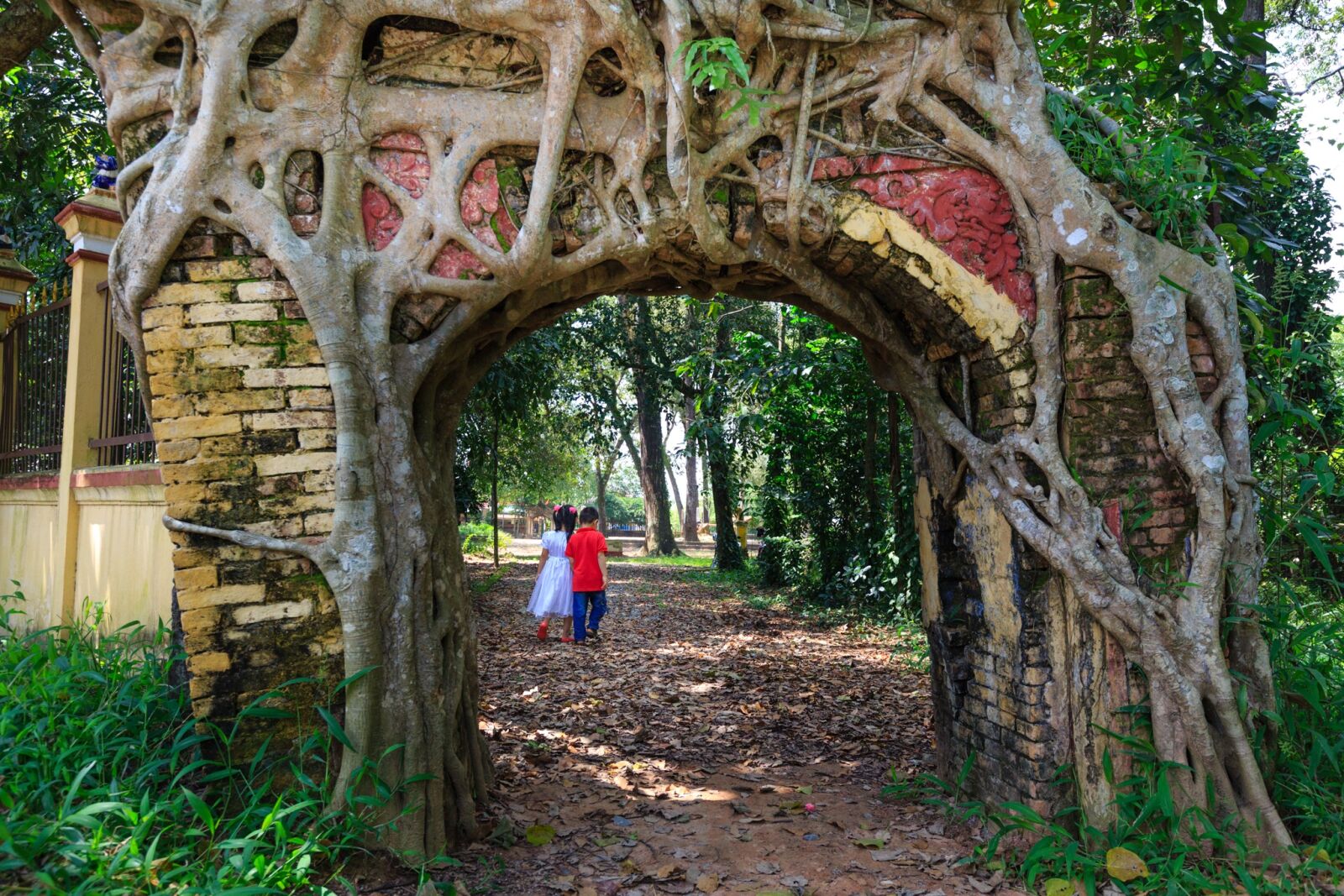 Canon EF 16-35mm F4L IS USM sample photo. Tree, door, cling photography