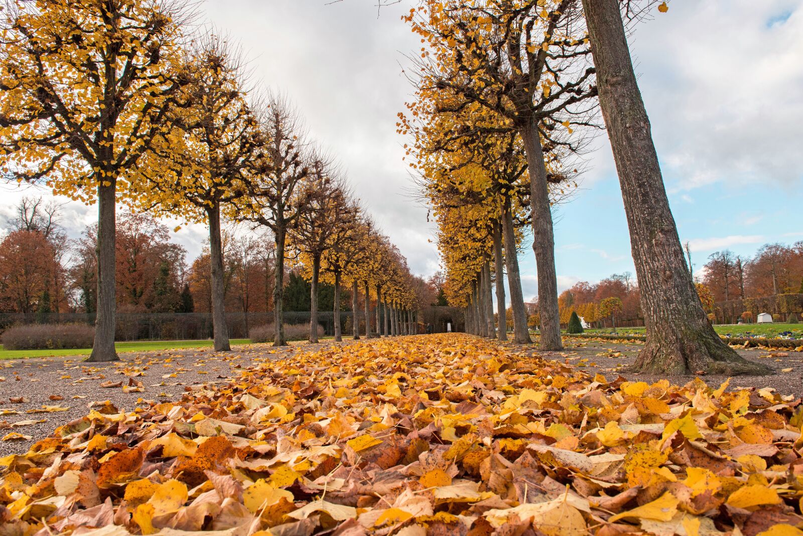 Nikon D810 sample photo. Palace, autumn, leaves photography