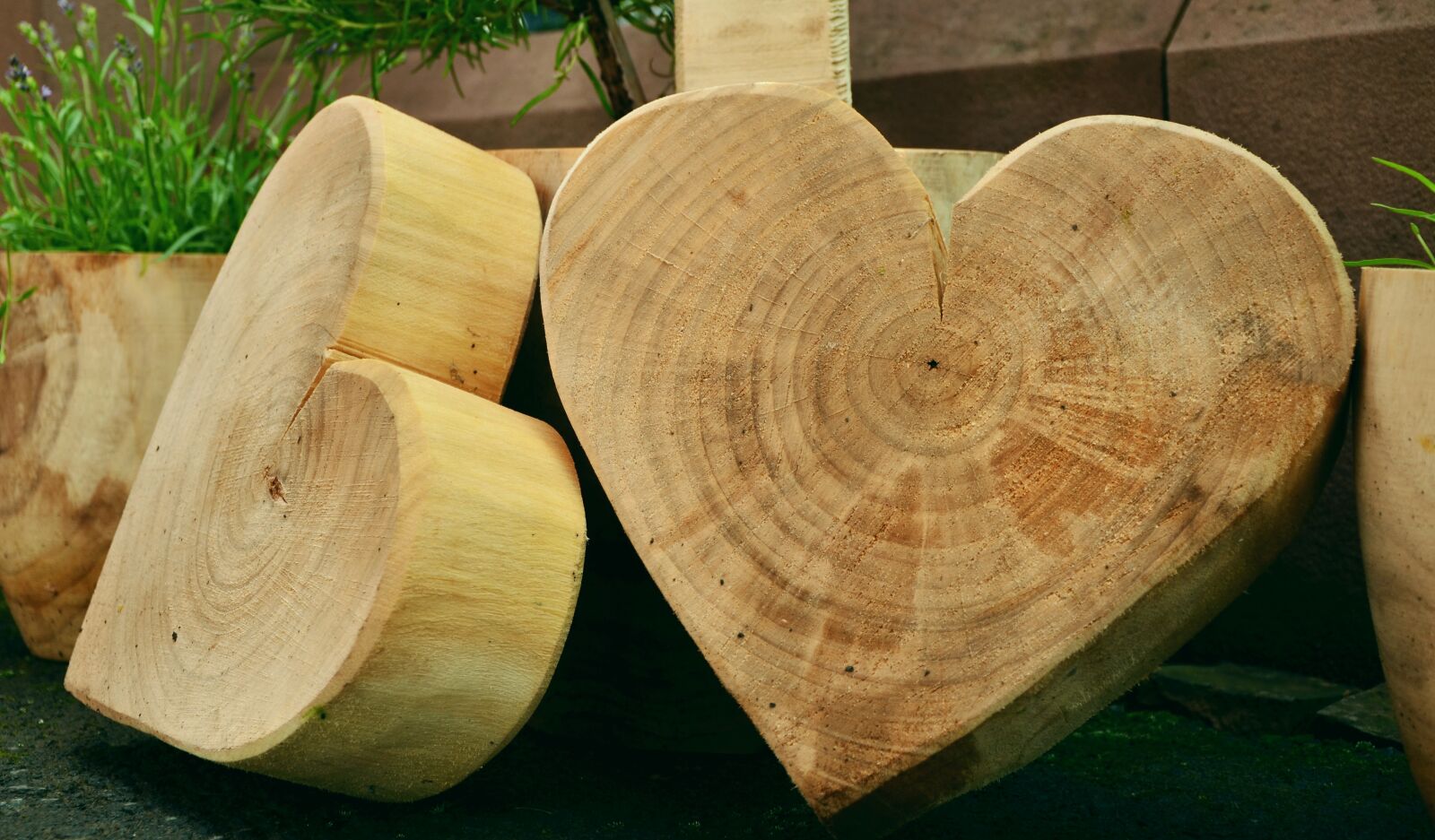 Nikon D5100 sample photo. Wood, wood art, wood photography