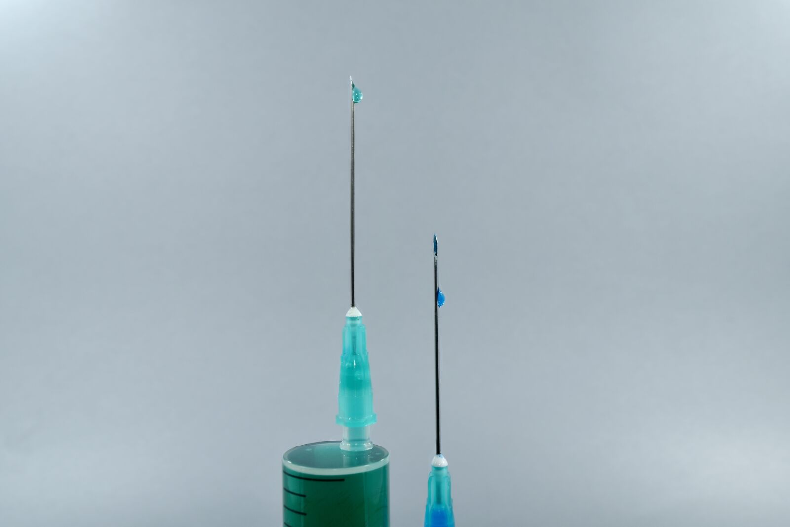 Nikon D5500 sample photo. Cure, focus, needles, precision photography