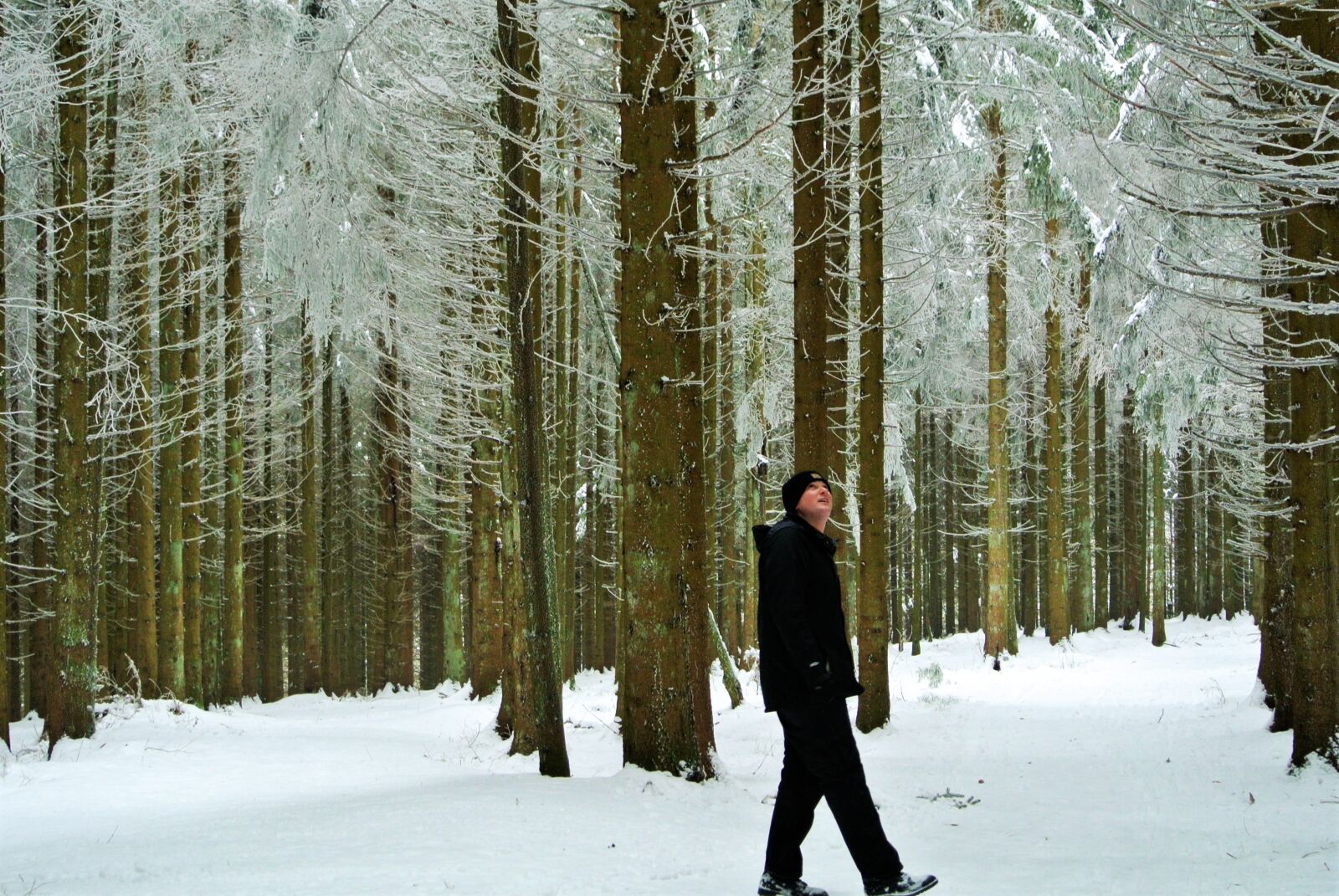 Nikon 1 Nikkor VR 10-30mm F3.5-5.6 sample photo. Black forest, germany, schonach photography