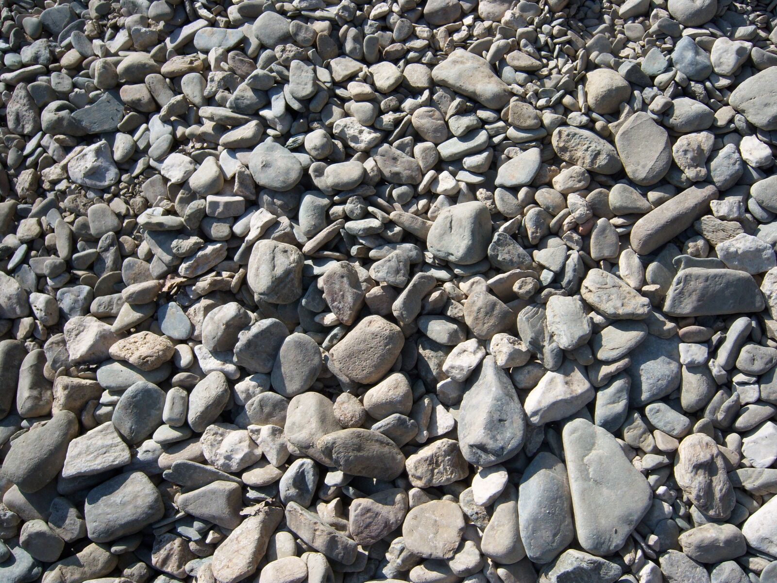 Kodak EASYSHARE V1003 ZOOM DIGITAL CAMERA sample photo. Material, pebble, nature photography