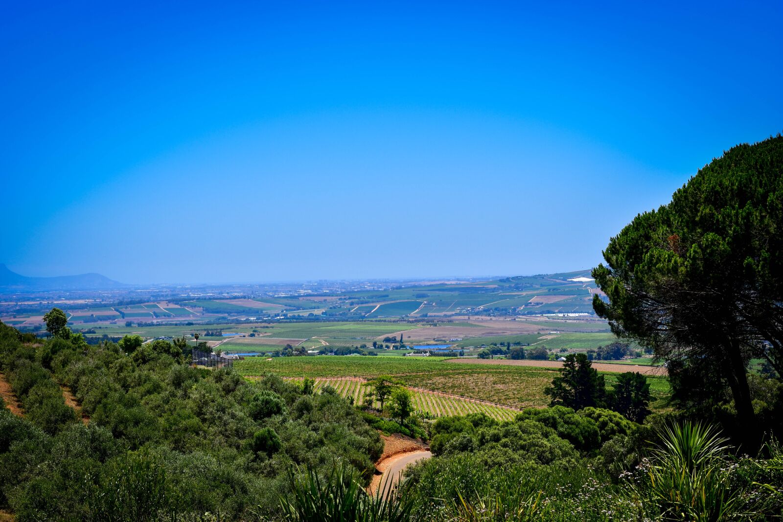 Nikon D5500 sample photo. Hidden valley wines, south photography