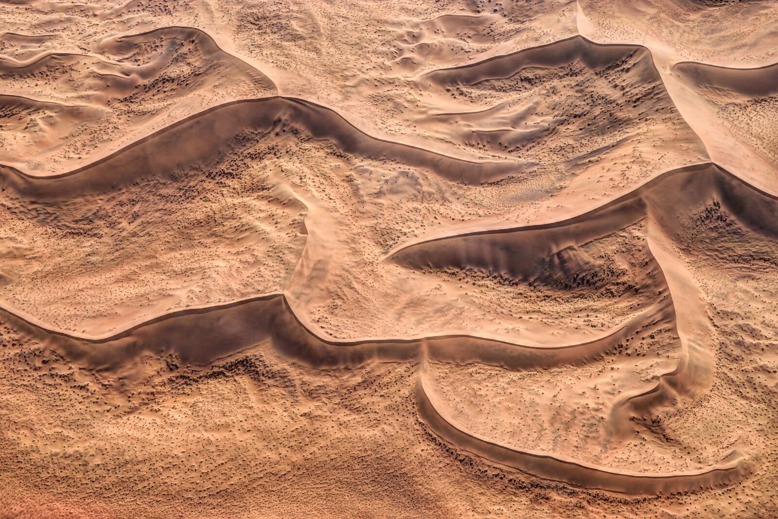 Nikon D5500 sample photo. Desert, sand, dune photography
