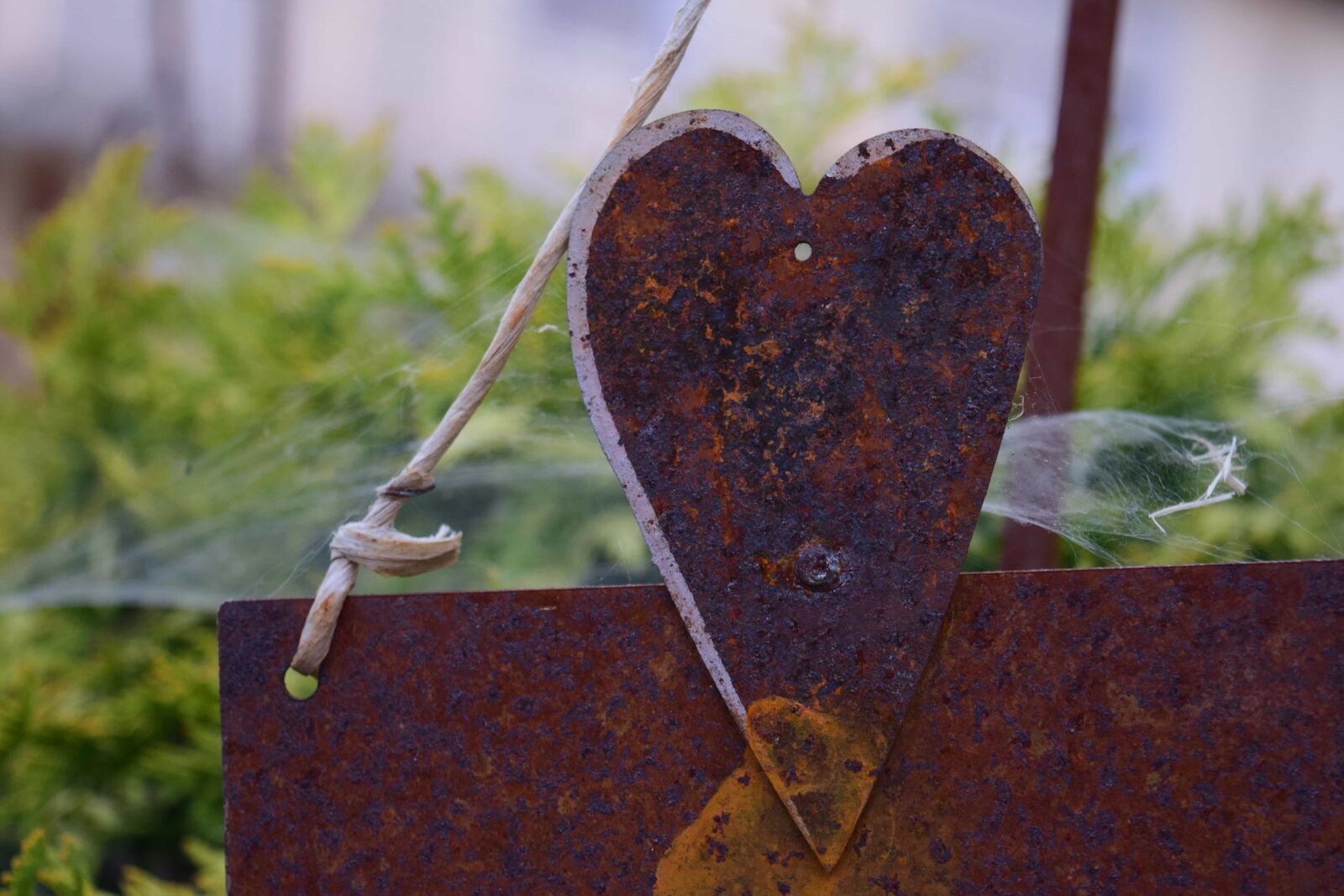 Nikon D3300 sample photo. Metal, rust, steel, art photography