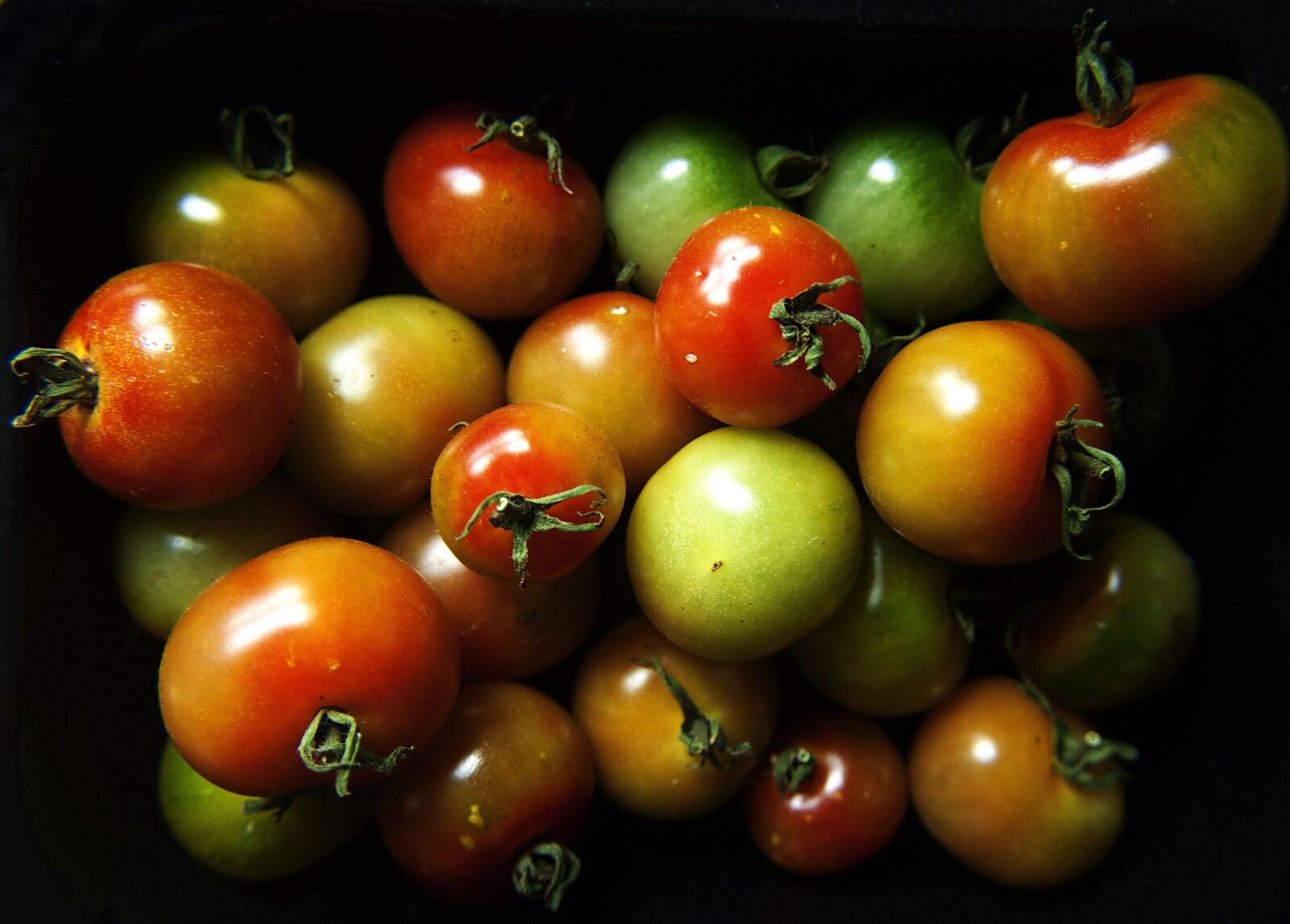 Canon EOS 350D (EOS Digital Rebel XT / EOS Kiss Digital N) sample photo. Tomatoes, fruit, tomato photography
