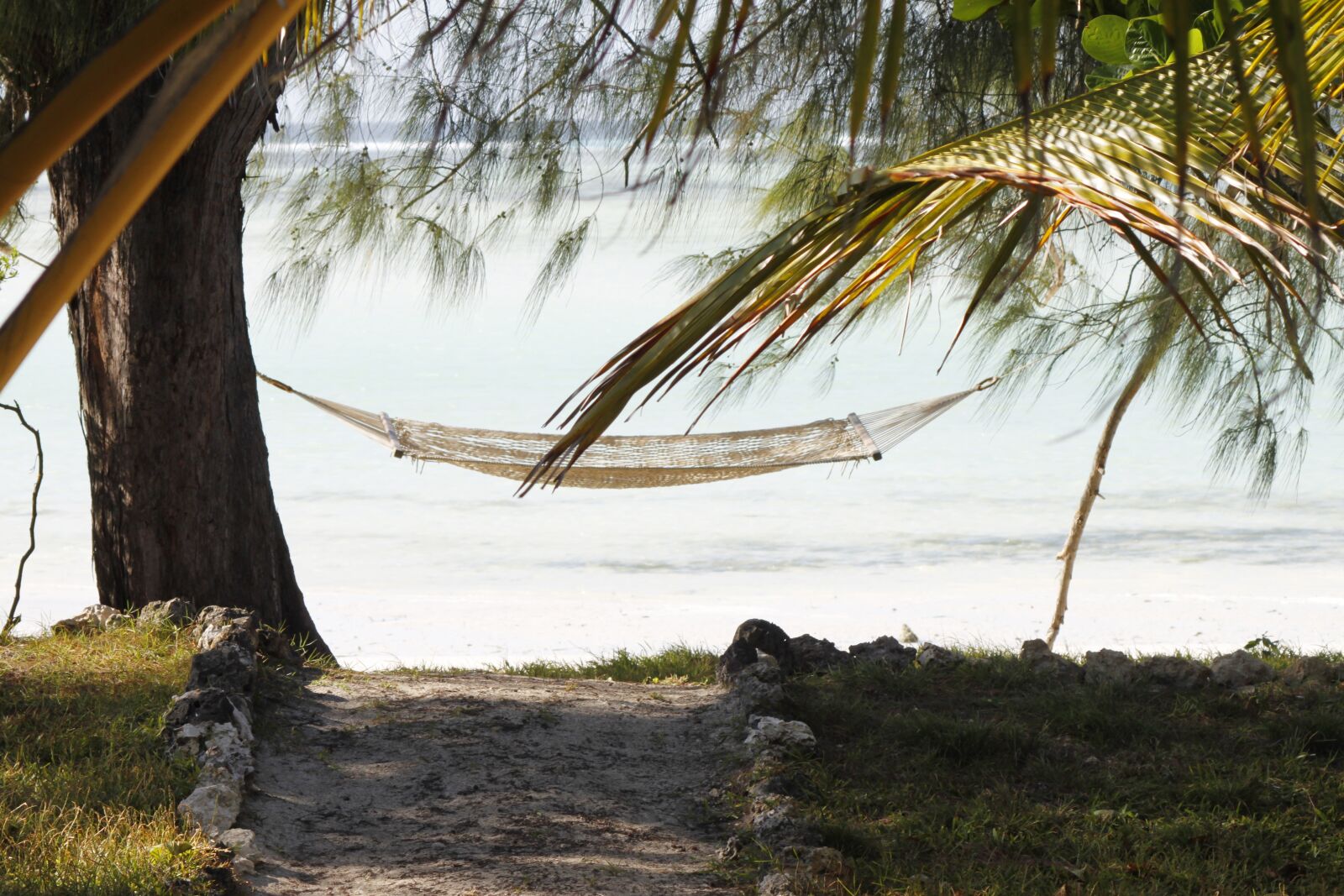 Canon EOS 500D (EOS Rebel T1i / EOS Kiss X3) sample photo. Hammock, zanzibar, vacations photography
