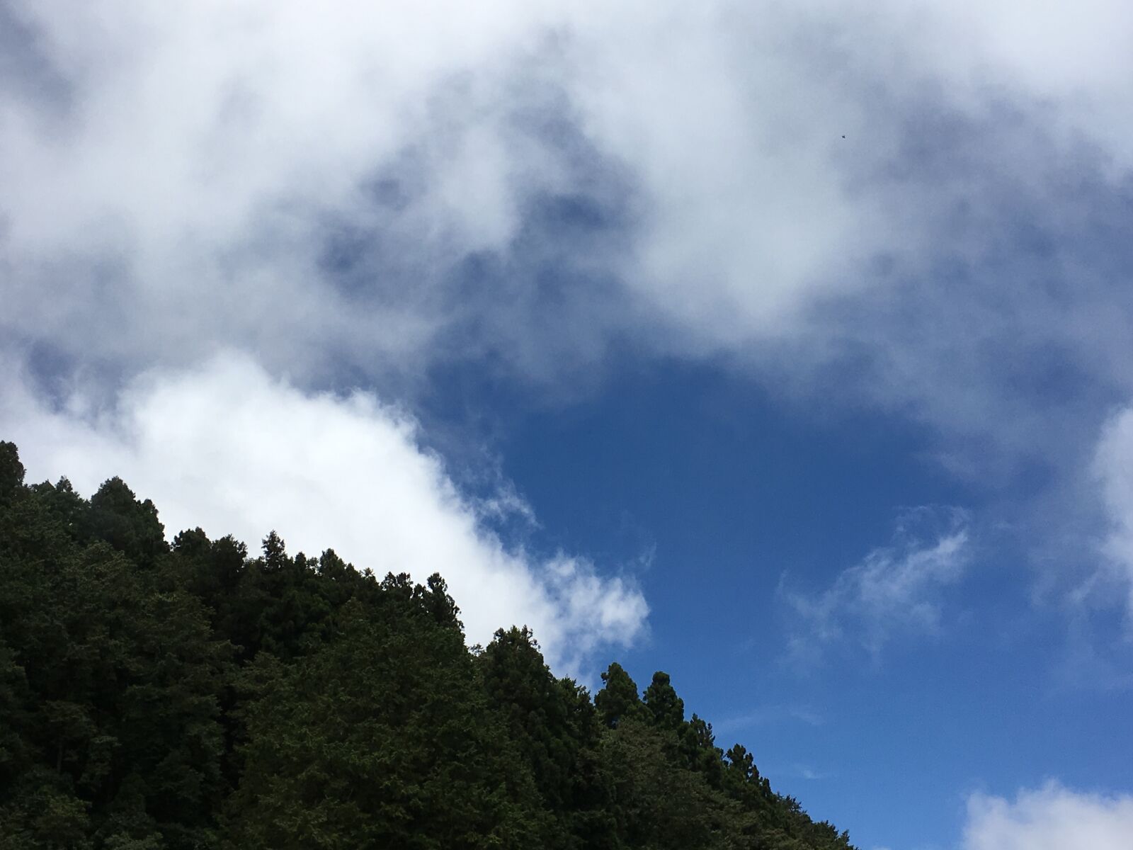 Apple iPhone 6s Plus sample photo. Alishan, taiwan, blue sky photography