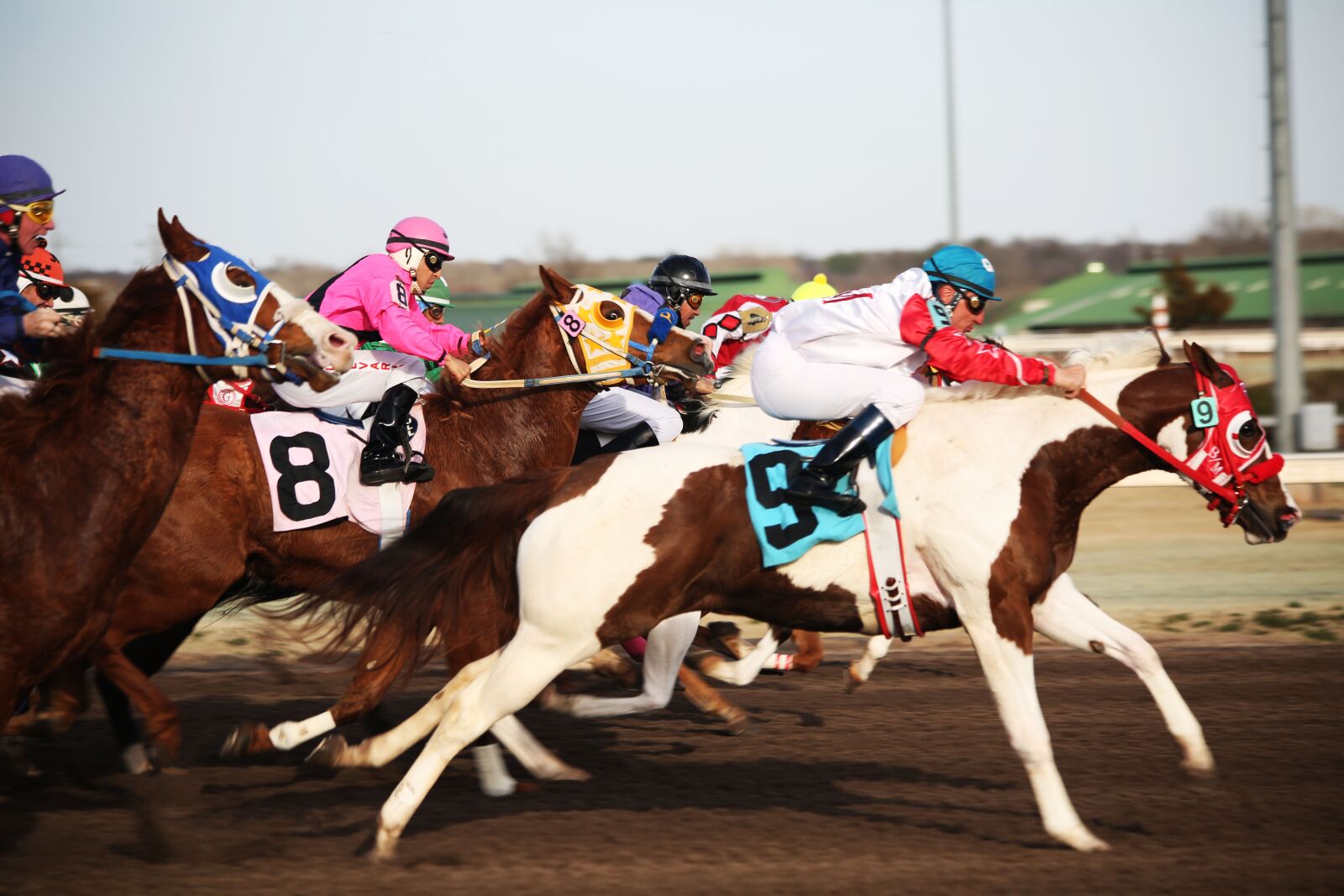 Canon EF 70-300mm F4-5.6 IS USM sample photo. Horses, horse racing, racetrack photography